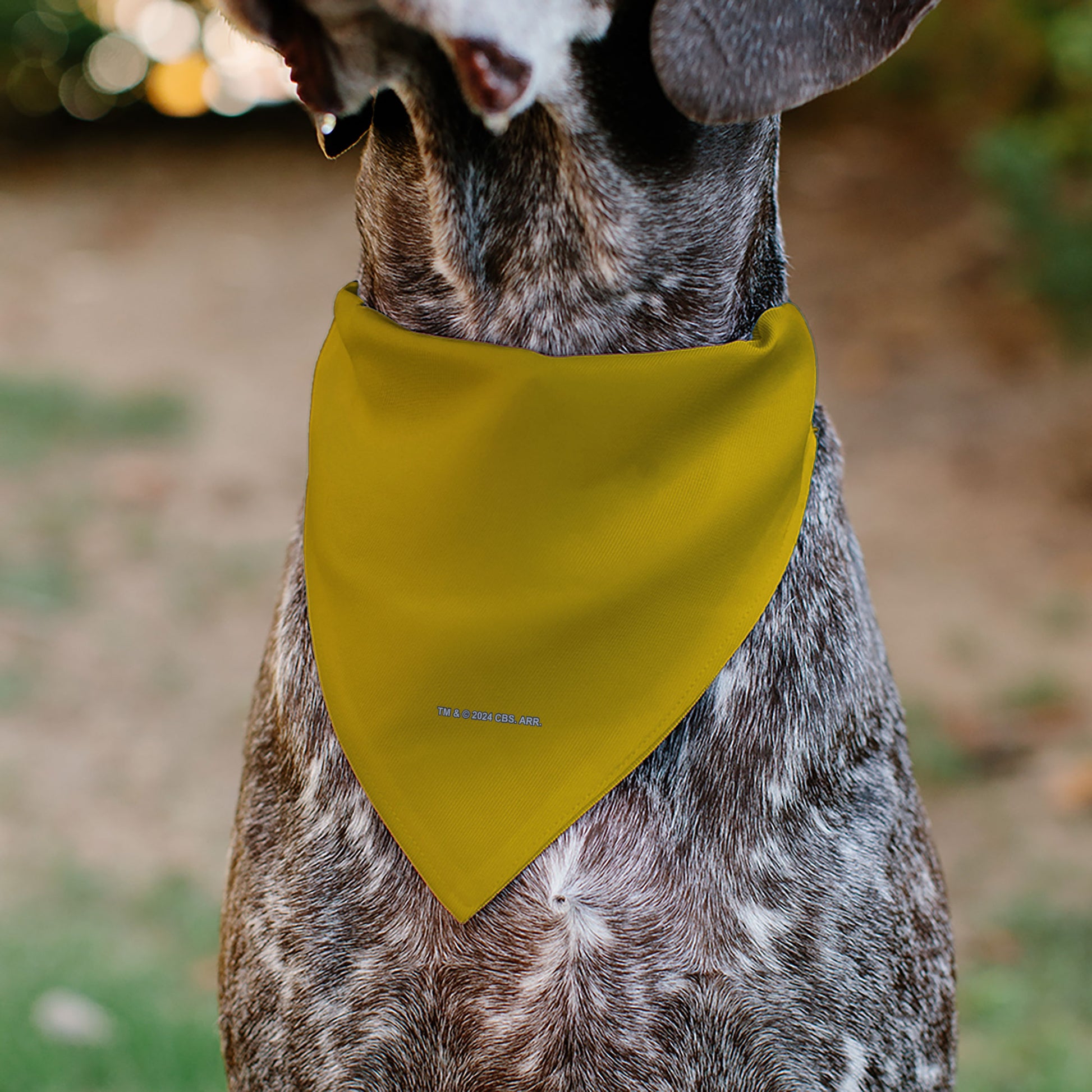 Pet Bandana - Star Trek Original Series Golden Yellow Uniform Print Pet Bandanas Star Trek