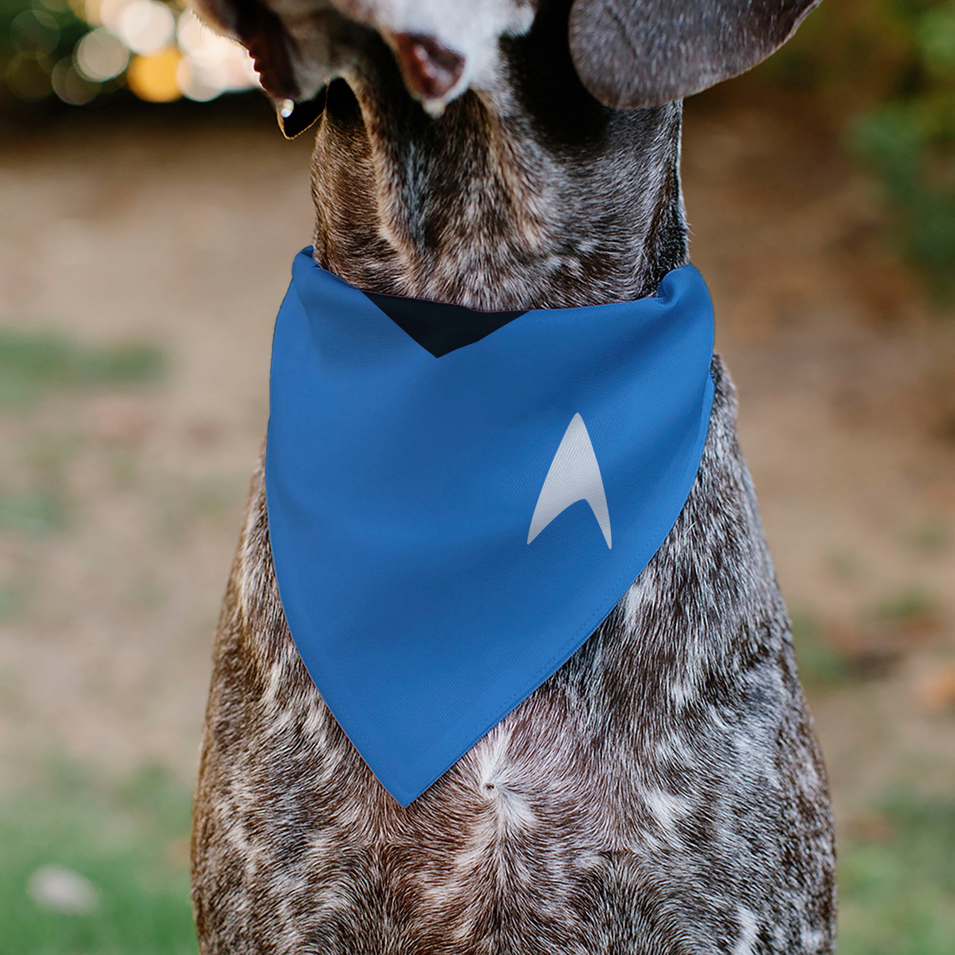 Pet Bandana - Star Trek Original Series Blue Uniform Print Pet Bandanas Star Trek