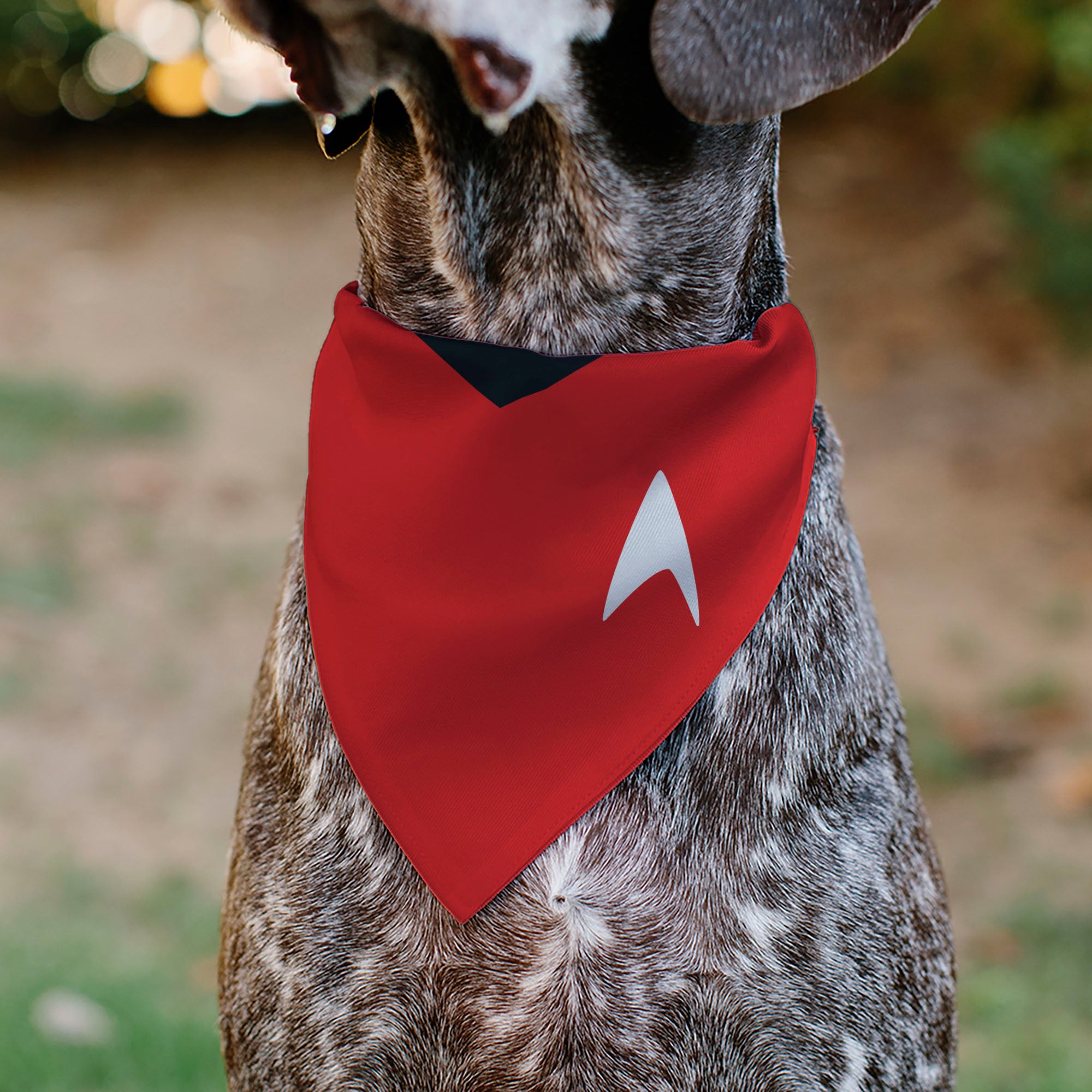 Pet Bandana - Star Trek Original Series Red Uniform Print Pet Bandanas Star Trek