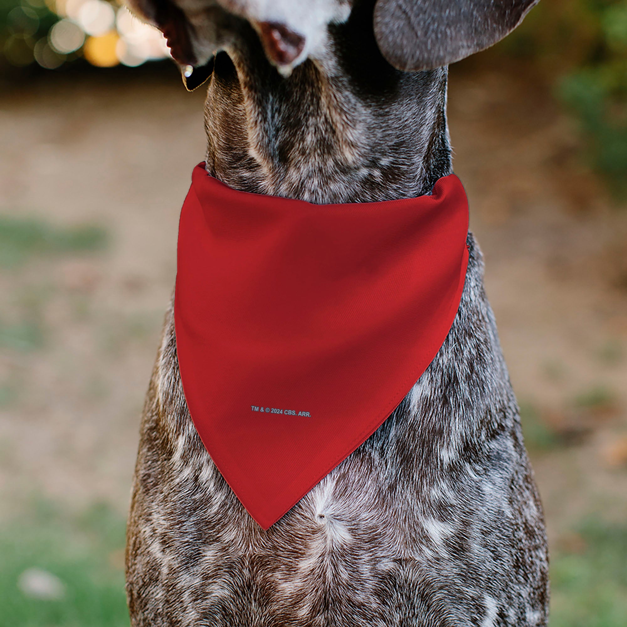 Pet Bandana - Star Trek Original Series Red Uniform Print Pet Bandanas Star Trek