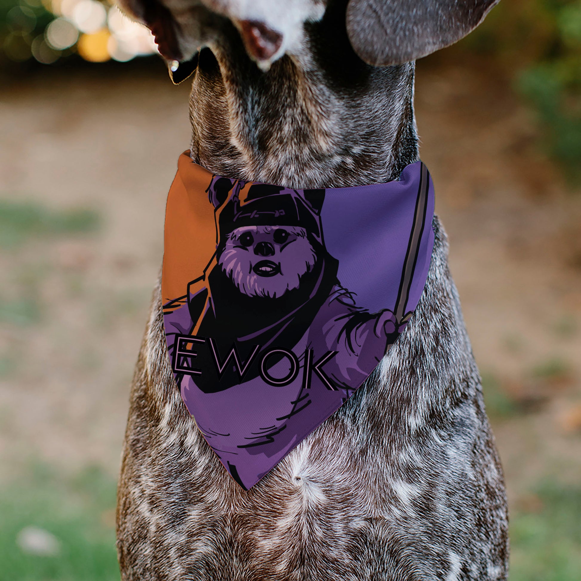 Pet Bandana - Star Wars EWOK Text and Wicket Pop Art Pose Orange/Purples/Black Pet Bandanas Star Wars