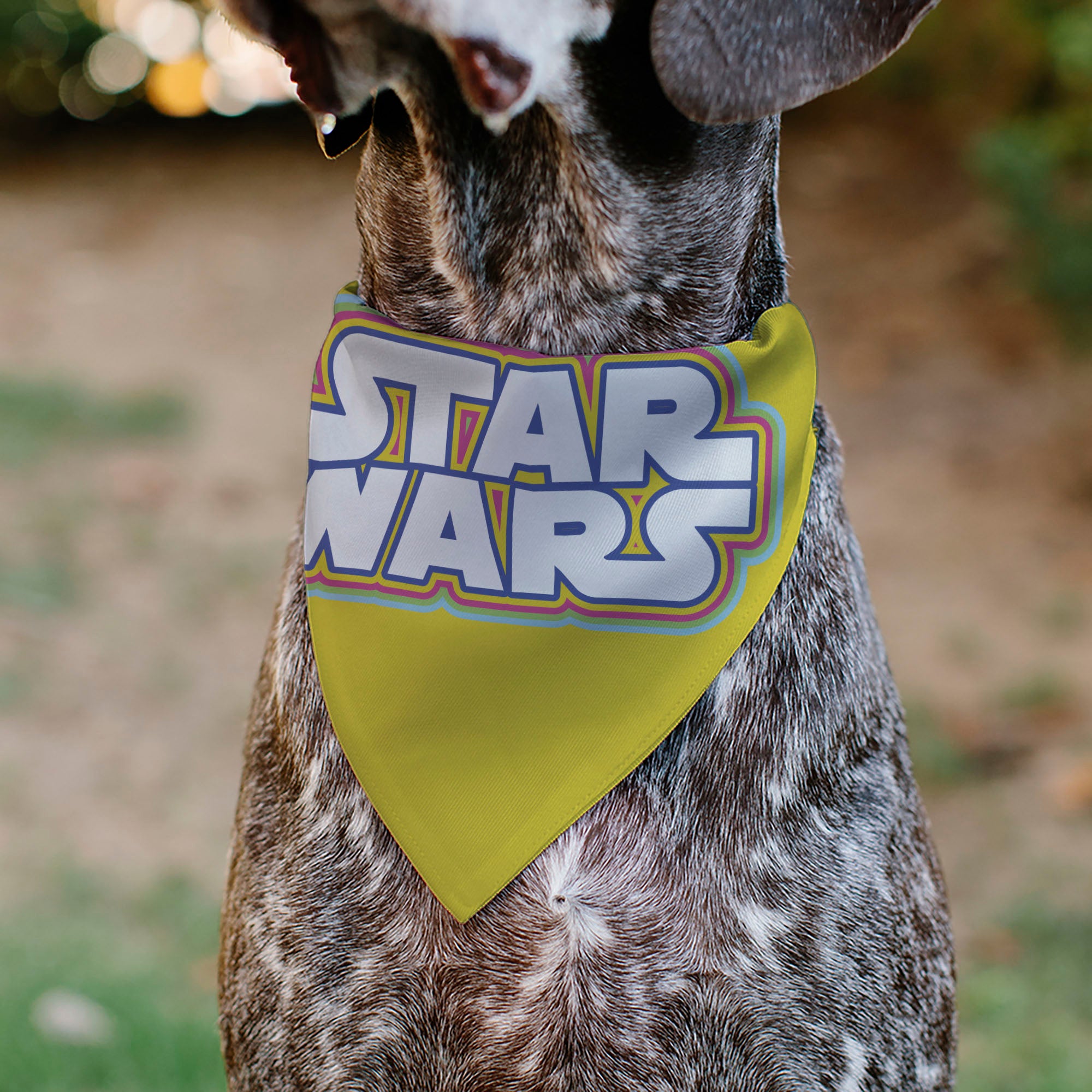 Pet Bandana - STAR WARS Title Logo Yellow/Multi Color/White Pet Bandanas Star Wars