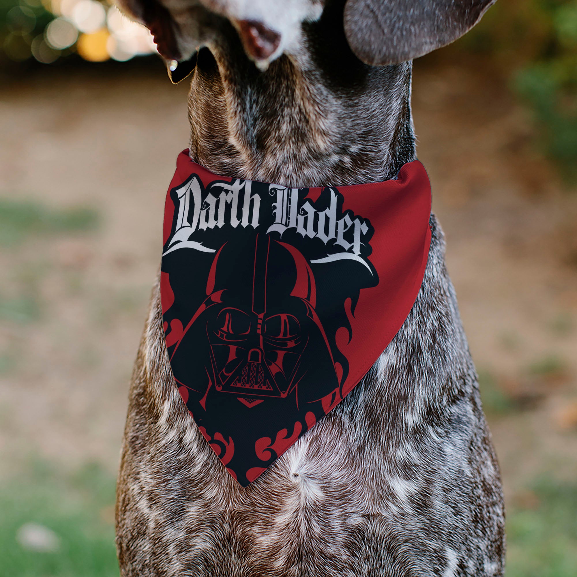 Pet Bandana - Star Wars DARTH VADER Face and Text Flame Red/Black/White Pet Bandanas Star Wars