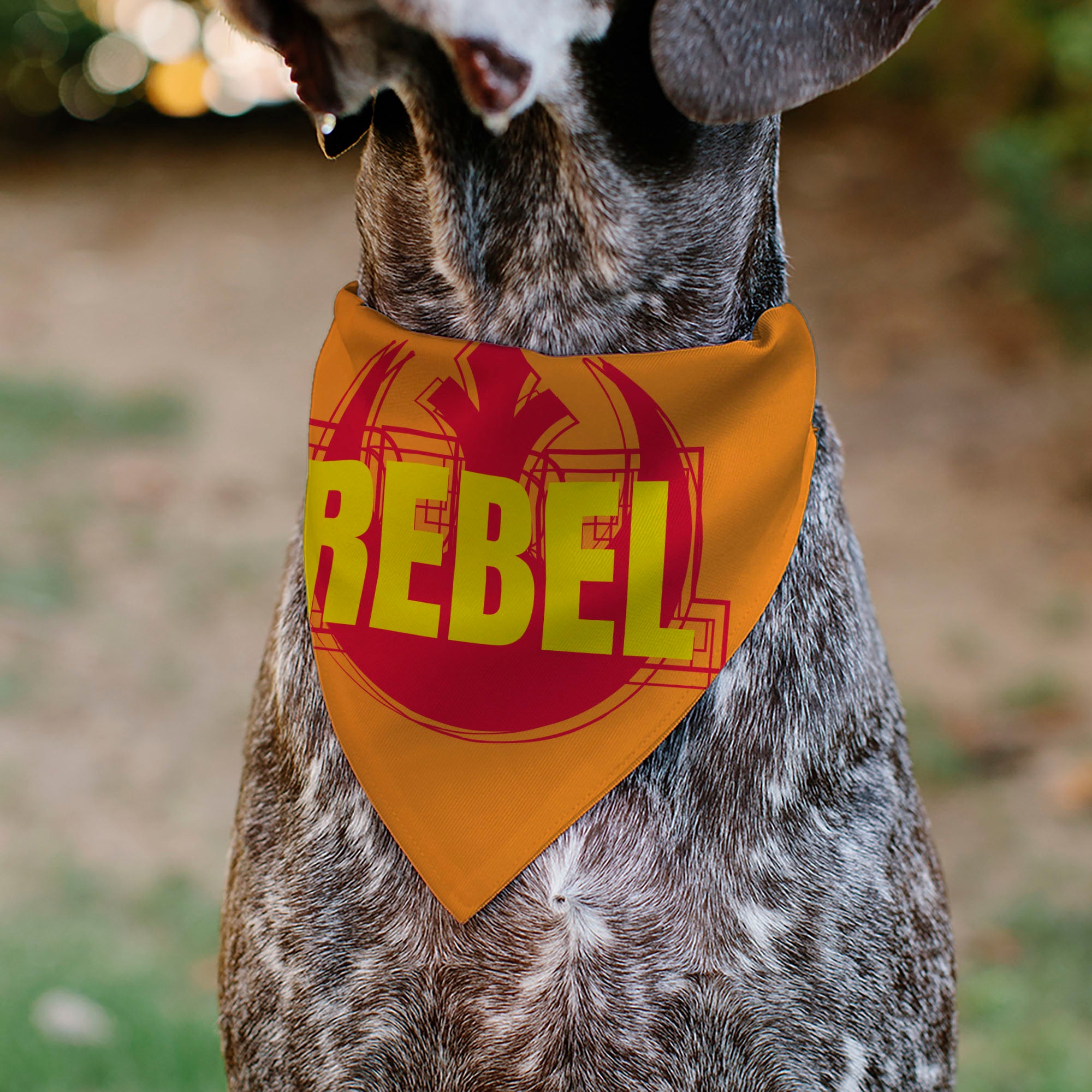 Pet Bandana - Star Wars REBEL Text and Rebel Alliance Insignia Orange/Red/Yellow Pet Bandanas Star Wars