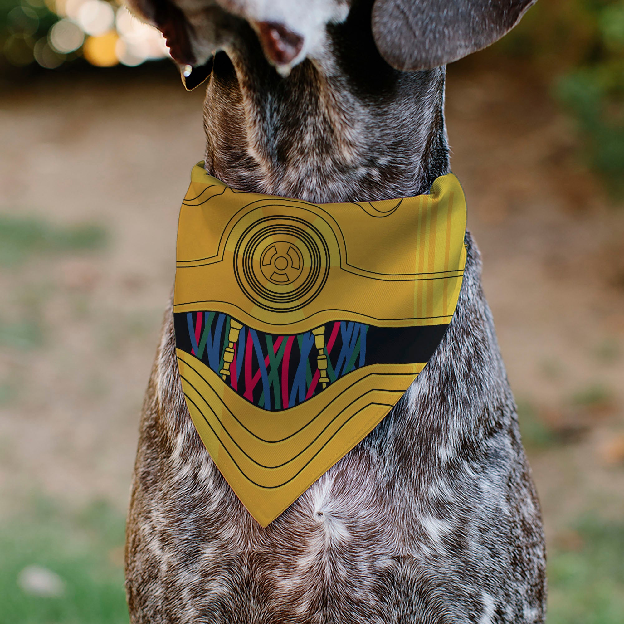 Pet Bandana - Star Wars C-3PO Character Close-Up Yellow Pet Bandanas Star Wars