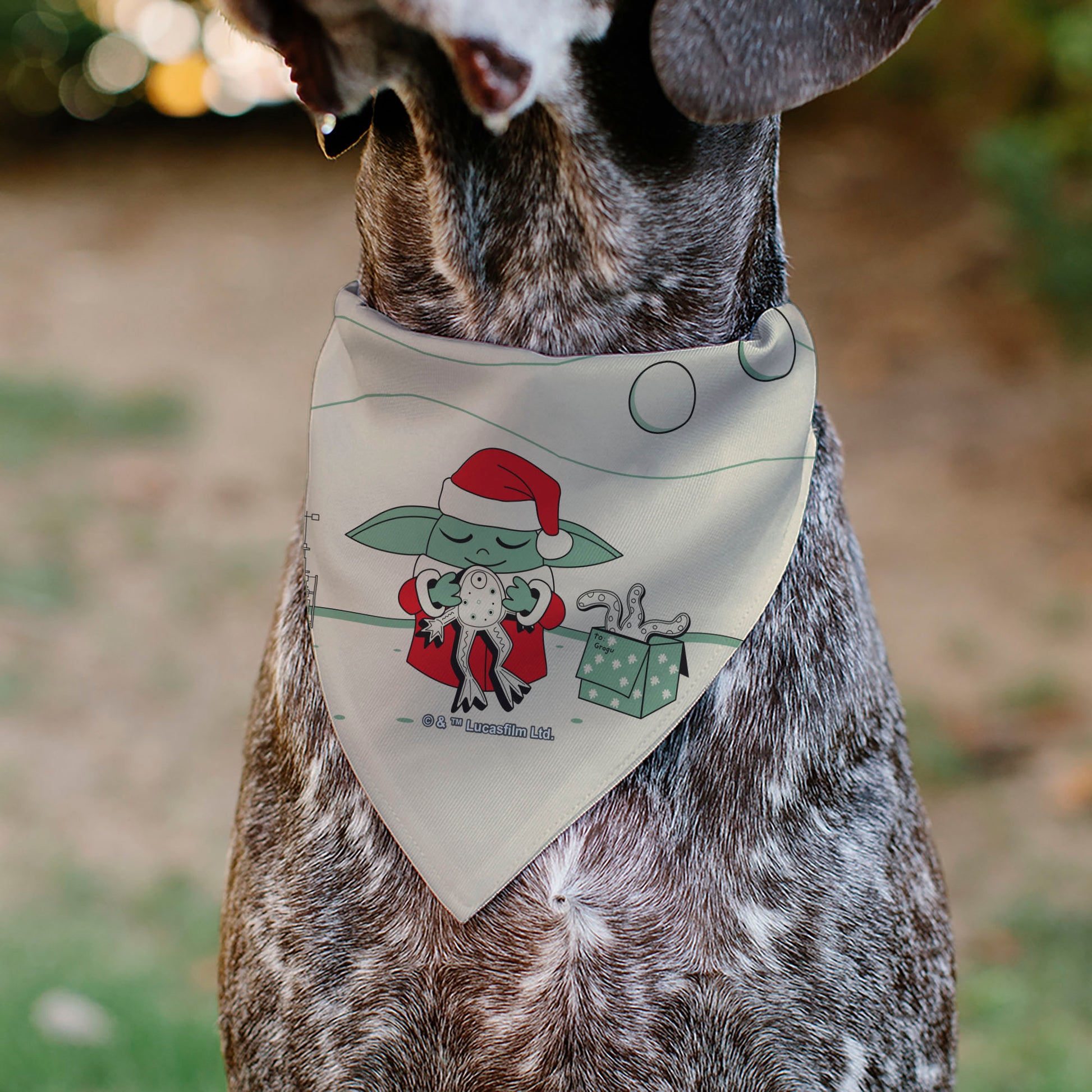 Pet Bandana - Star Wars Holiday Grogu Baby Yoga Santa Claus Scenes Pet Bandanas Star Wars