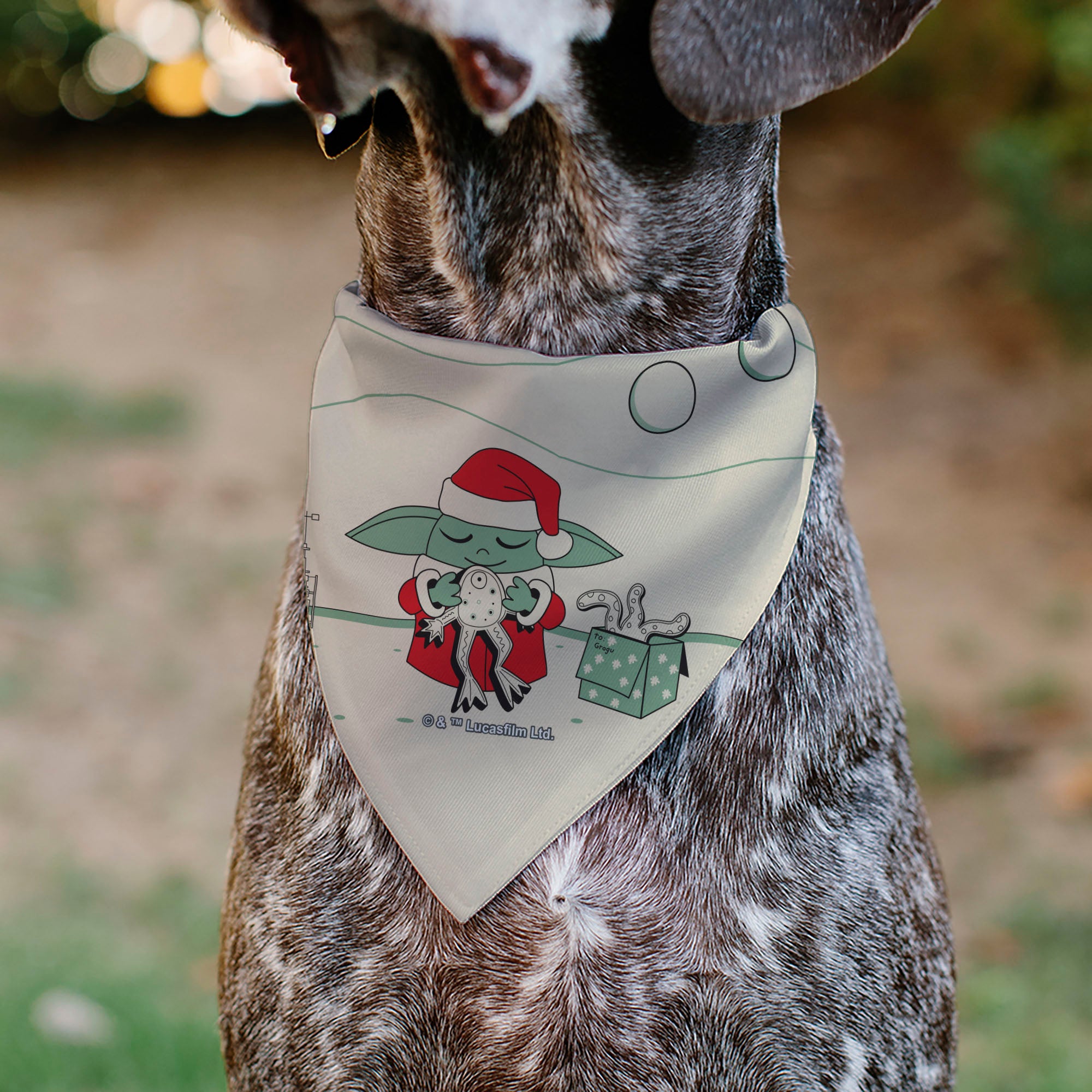 Pet Bandana - Star Wars Holiday Grogu Baby Yoga Santa Claus Scenes Pet Bandanas Star Wars