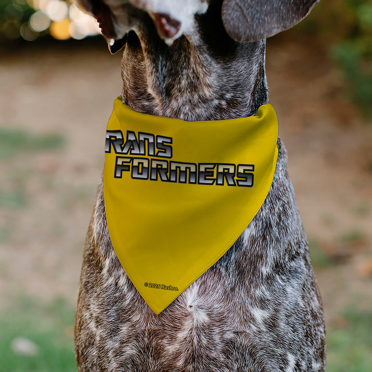 Pet Bandana - Transformers Three Character Pose Blocks Multi Color Pet Bandanas Transformers