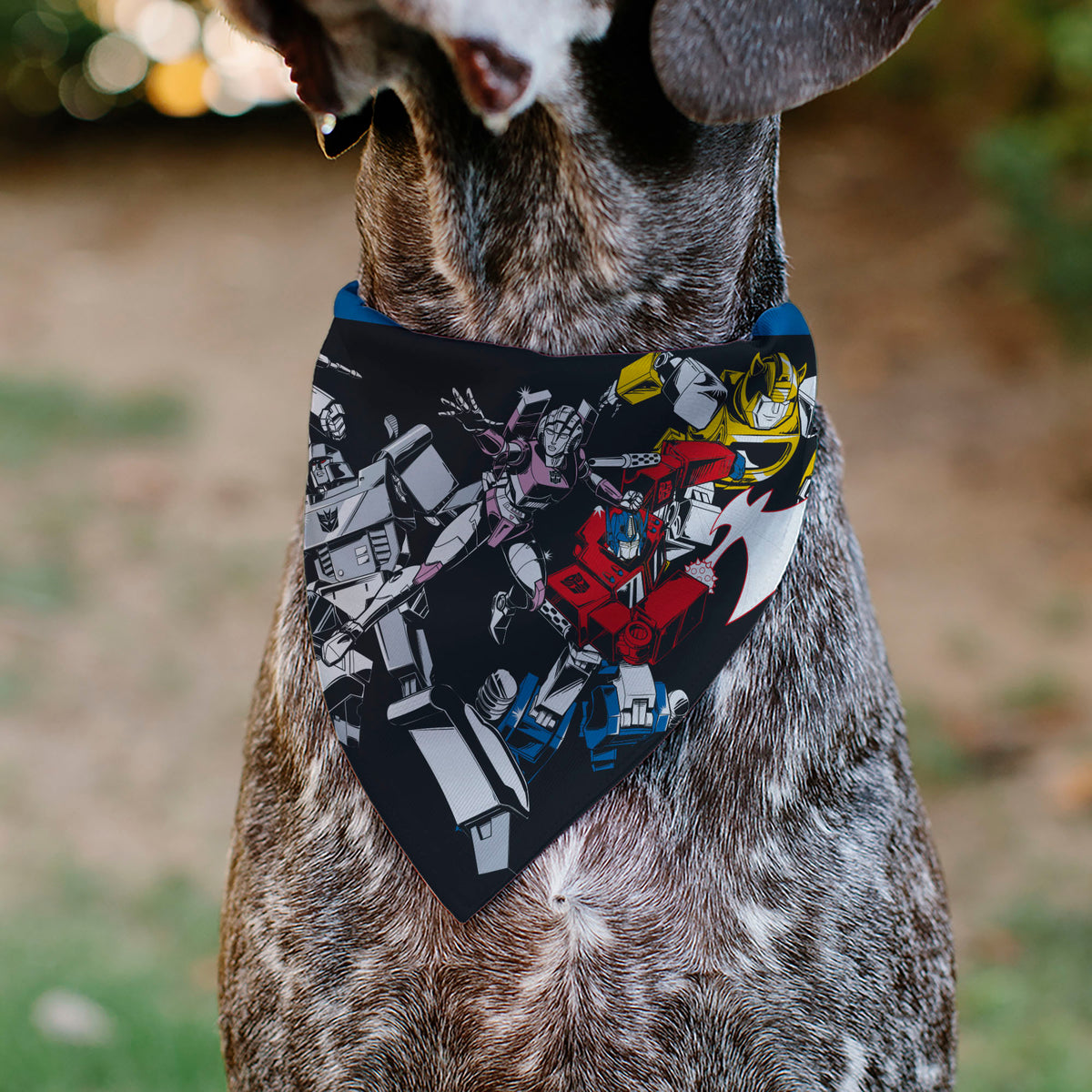 Pet Bandana - TRANSFORMERS Five Character Group Pose Black/Multi Color Pet Bandanas Transformers