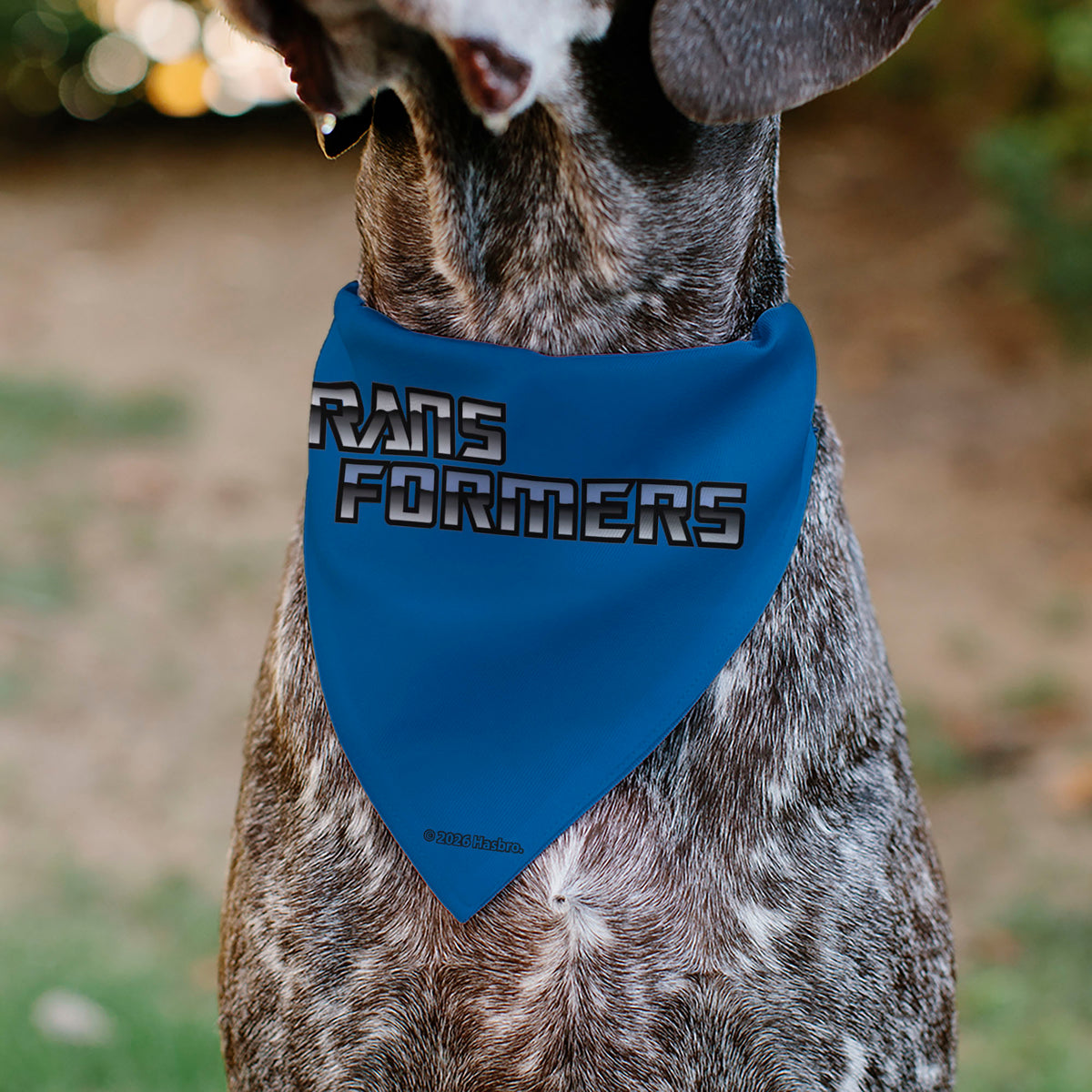 Pet Bandana - TRANSFORMERS Five Character Group Pose Black/Multi Color Pet Bandanas Transformers