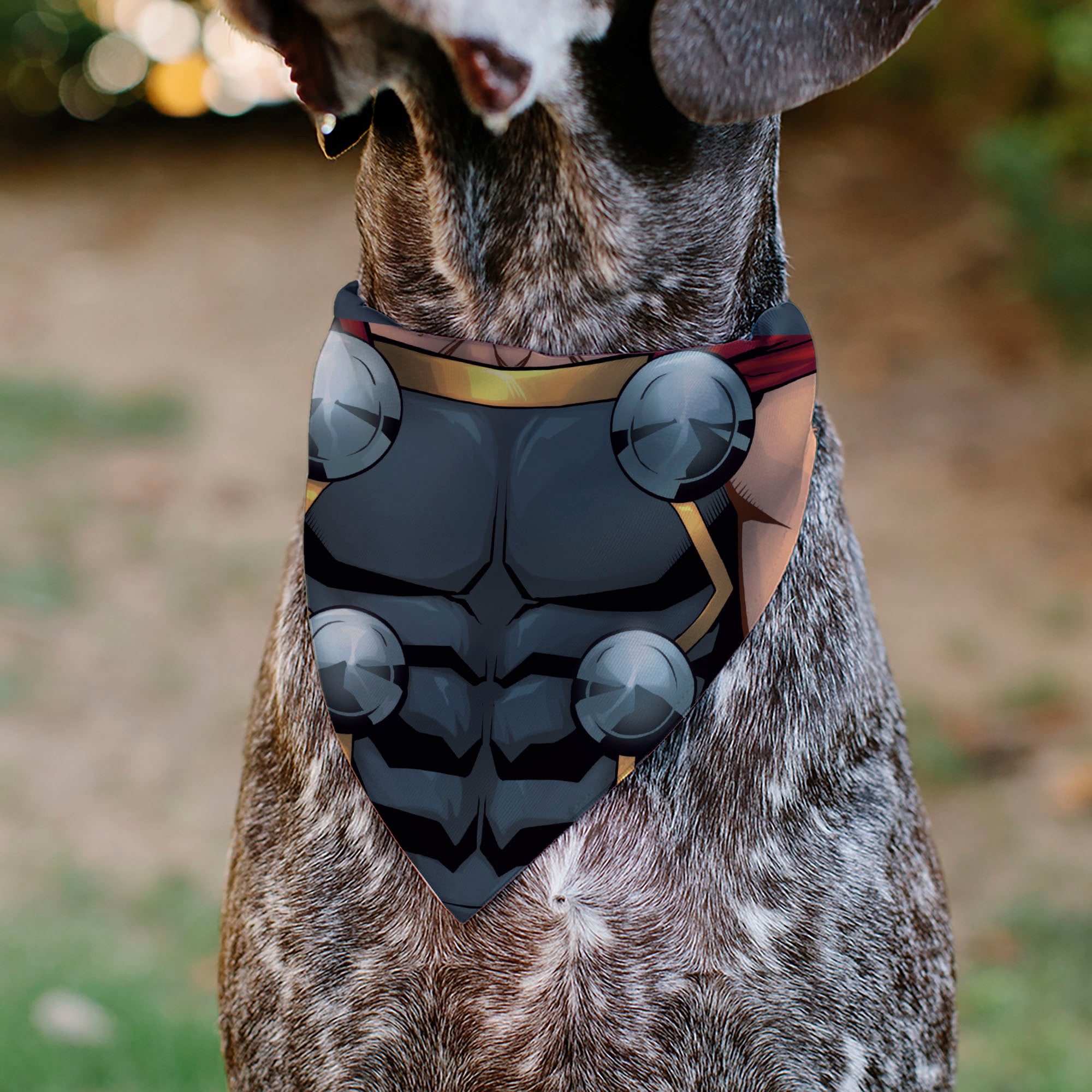 Pet Bandana - Thor Suit Chest Detail Grays Pet Bandanas Marvel Comics
