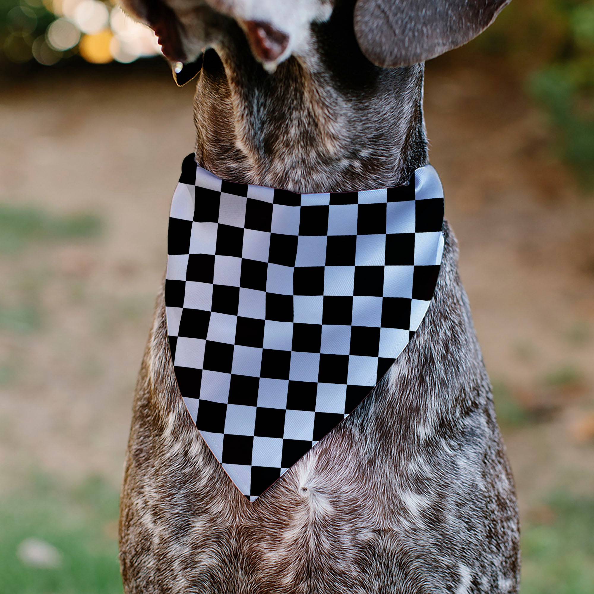 Pet Bandana - Checker Black/White Pet Bandanas Buckle-Down