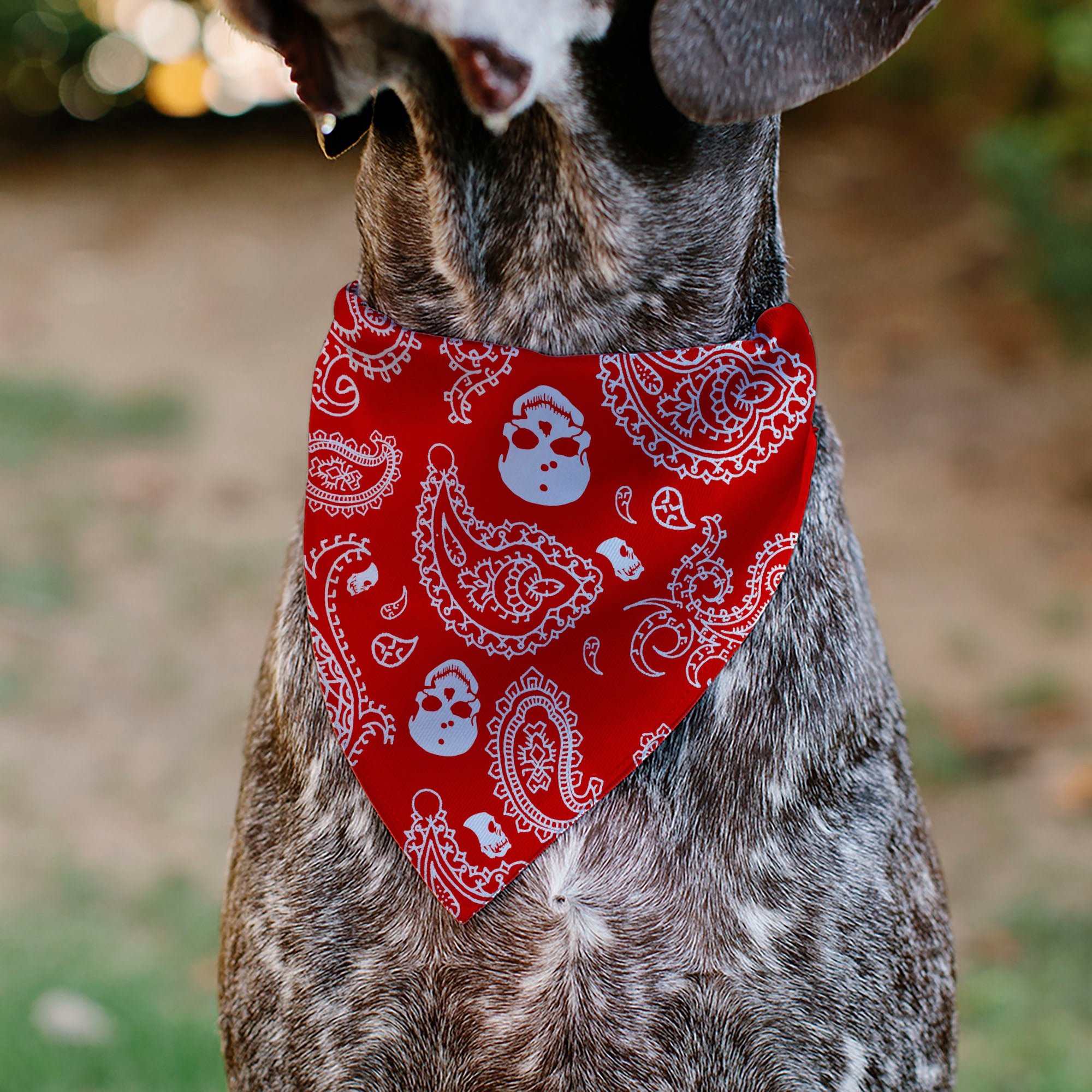 Pet Bandana - Bandana/Skulls Red/White Pet Bandanas Buckle-Down