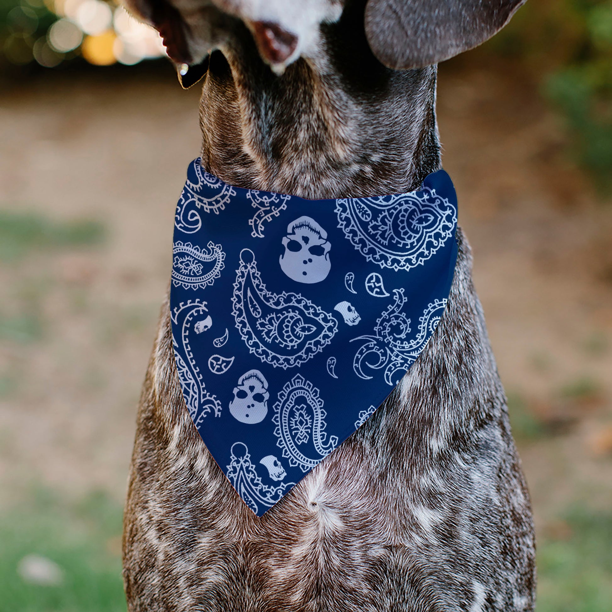 Pet Bandana - Bandana/Skulls Royal/White Pet Bandanas Buckle-Down