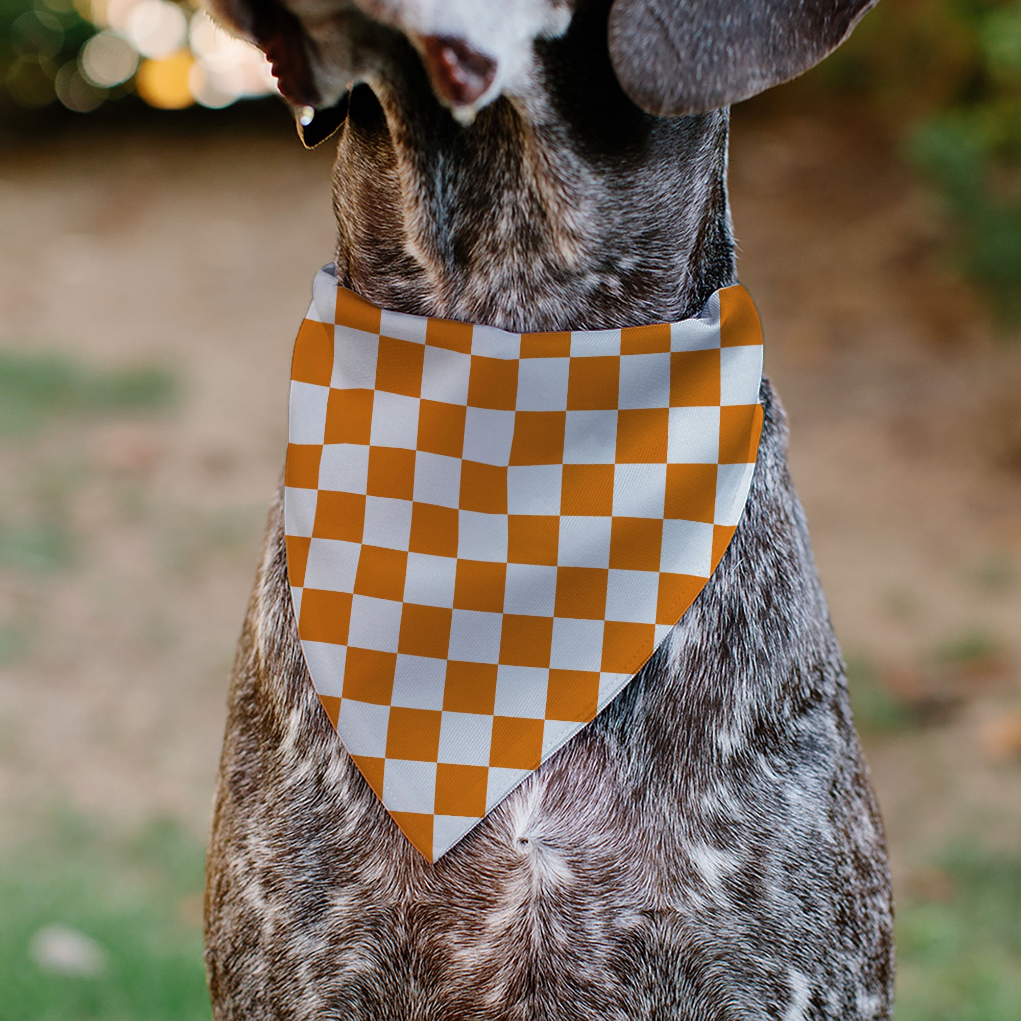 Pet Bandana - Checker White/TN Orange Pet Bandanas Buckle-Down
