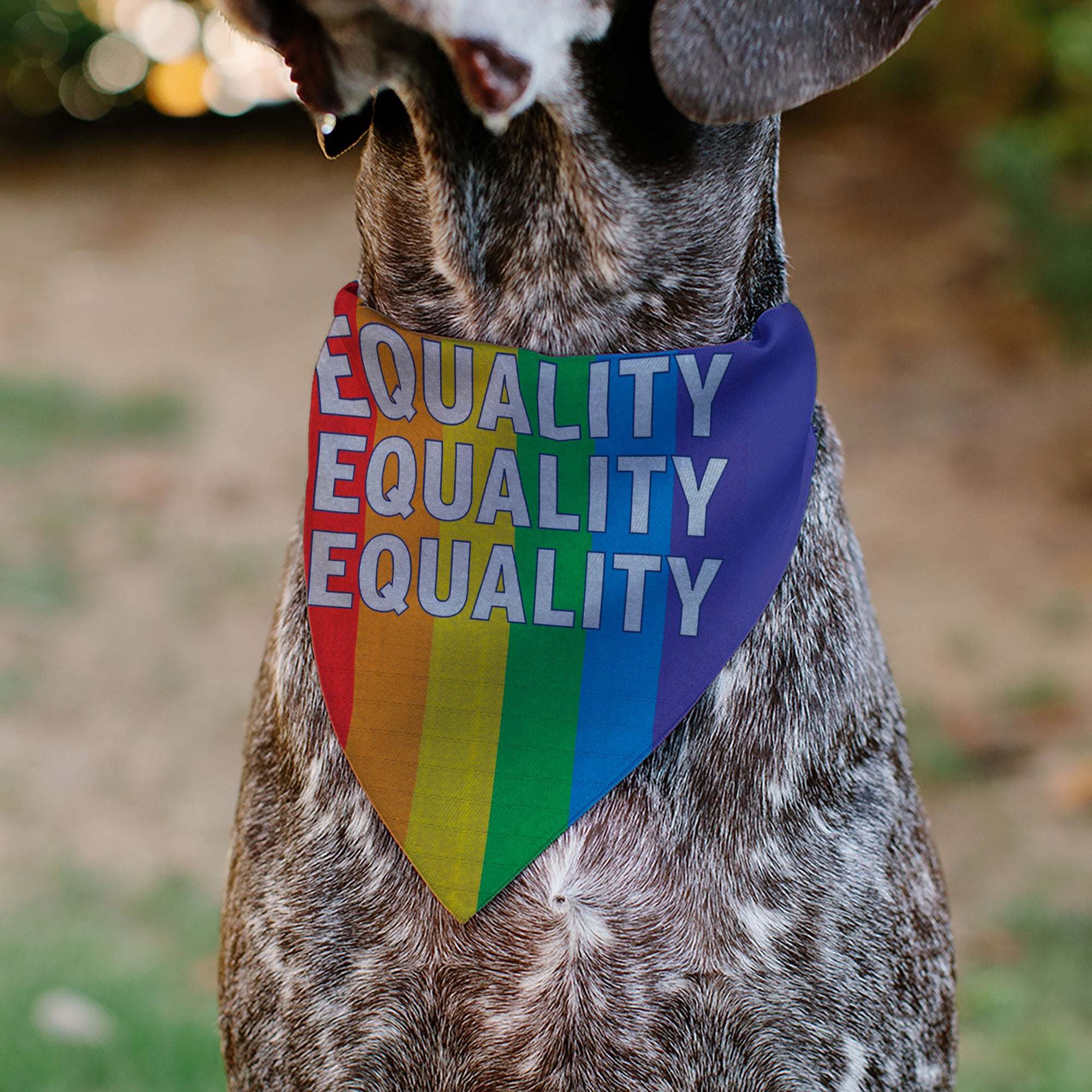 Pet Bandana - EQUALITY Blocks Rainbow/Blue/White Pet Bandanas Buckle-Down