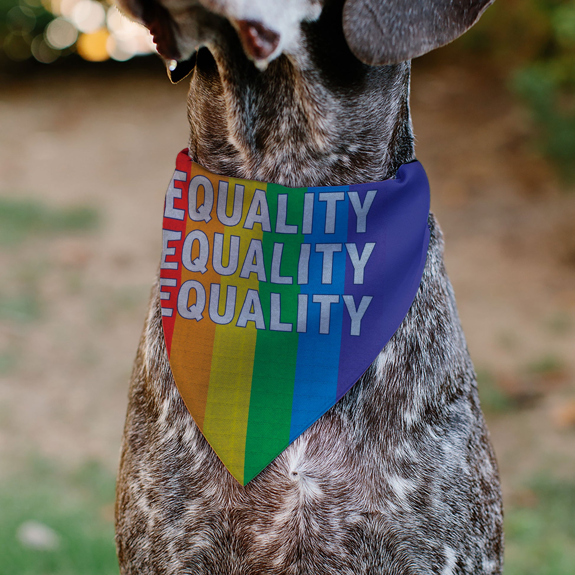 Pet Bandana - EQUALITY Blocks Rainbow/Blue/White Pet Bandanas Buckle-Down