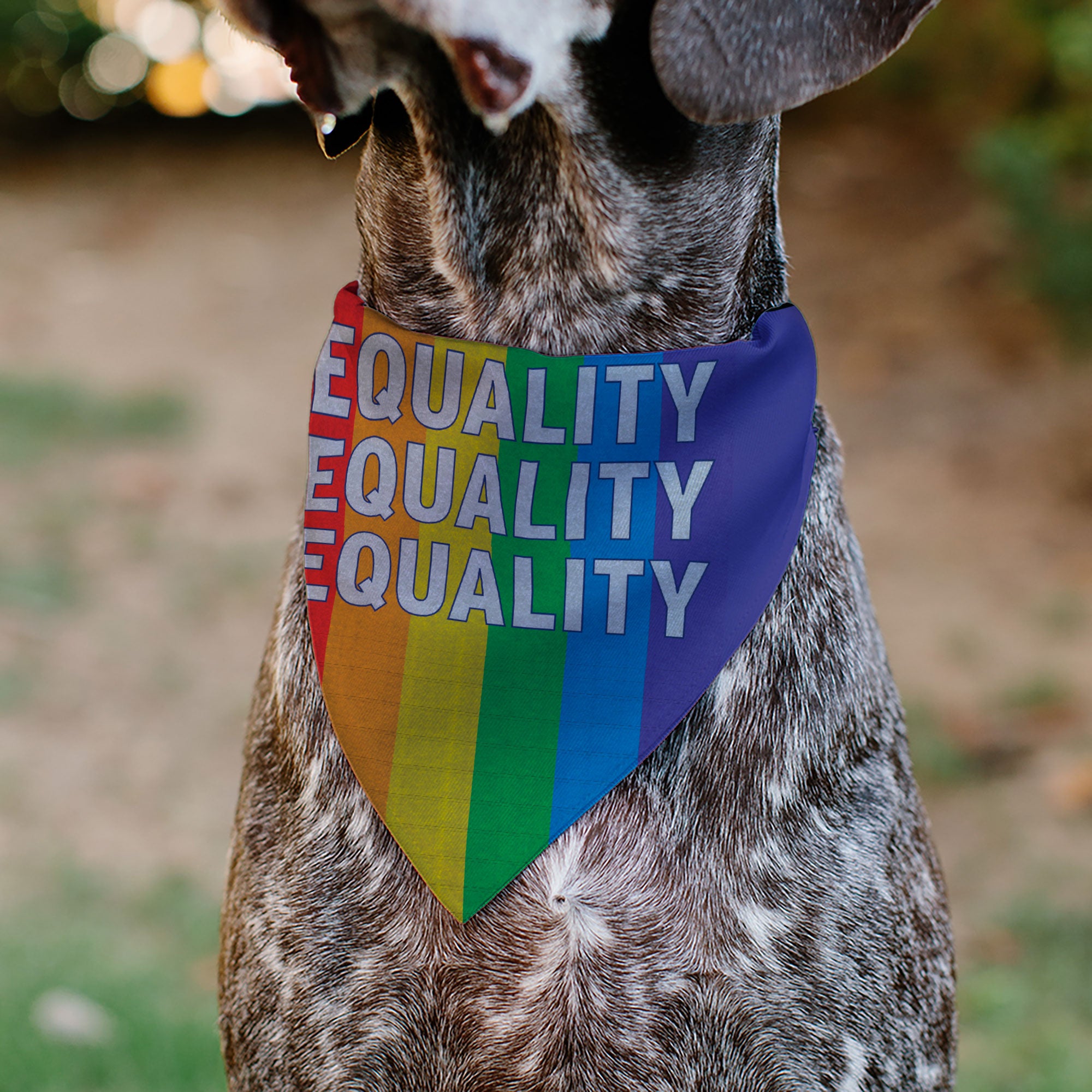 Pet Bandana - EQUALITY Blocks Rainbow/Blue/White Pet Bandanas Buckle-Down