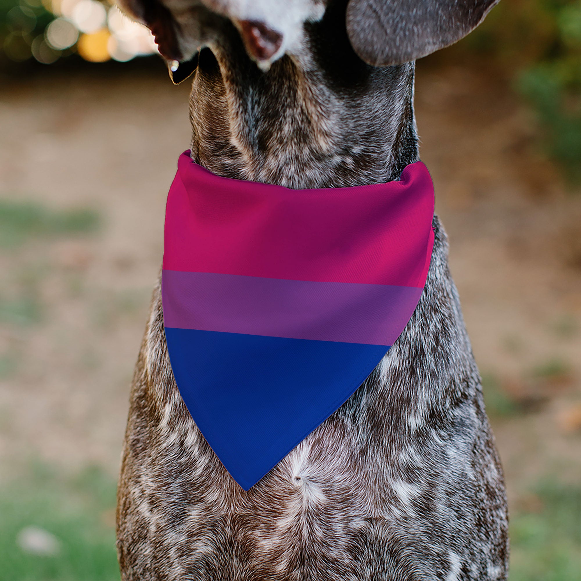 Pet Bandana - Flag Bisexual Pink/Purple/Blue Pet Bandanas Buckle-Down