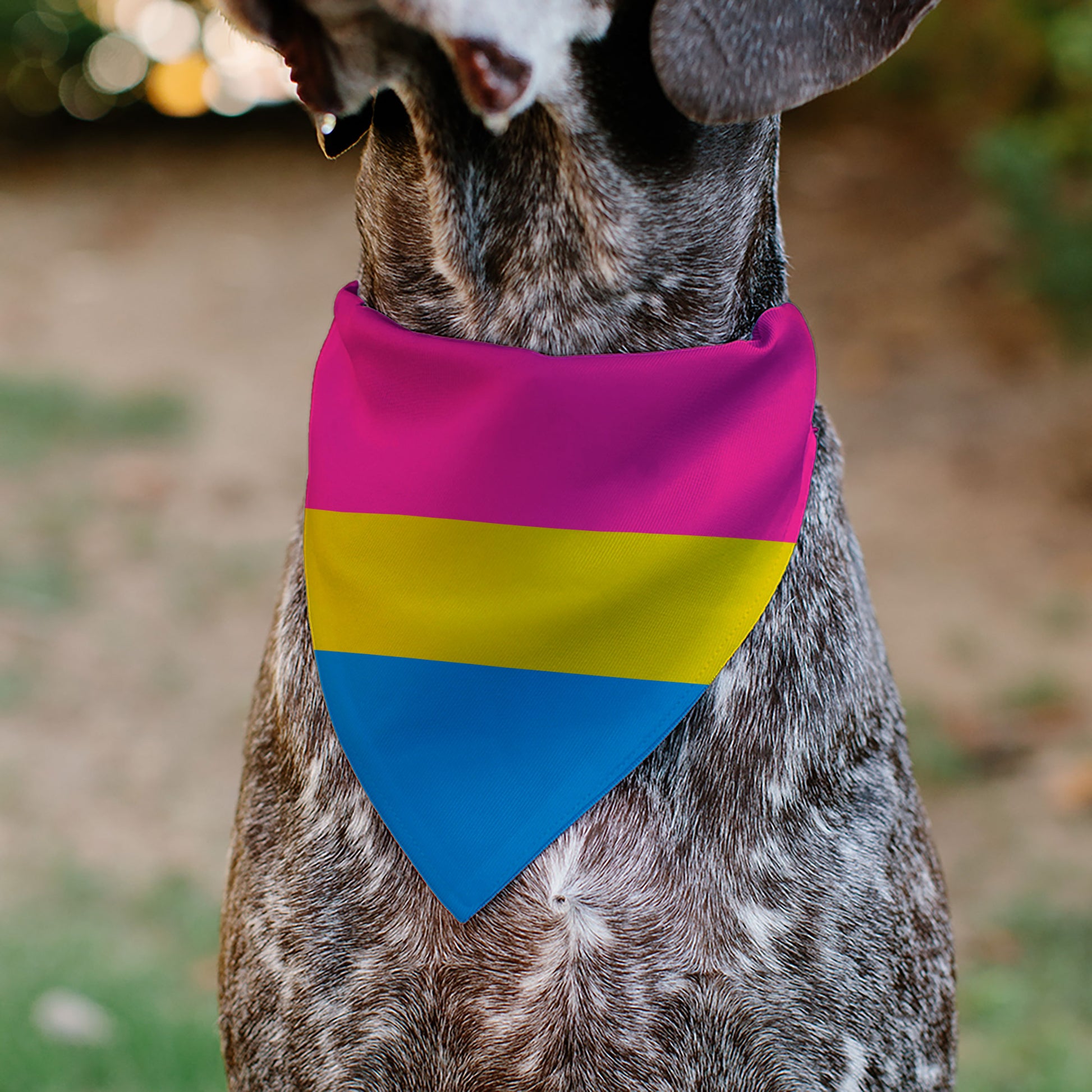 Pet Bandana - Flag Pansexual Pink/Yellow/Blue Pet Bandanas Buckle-Down