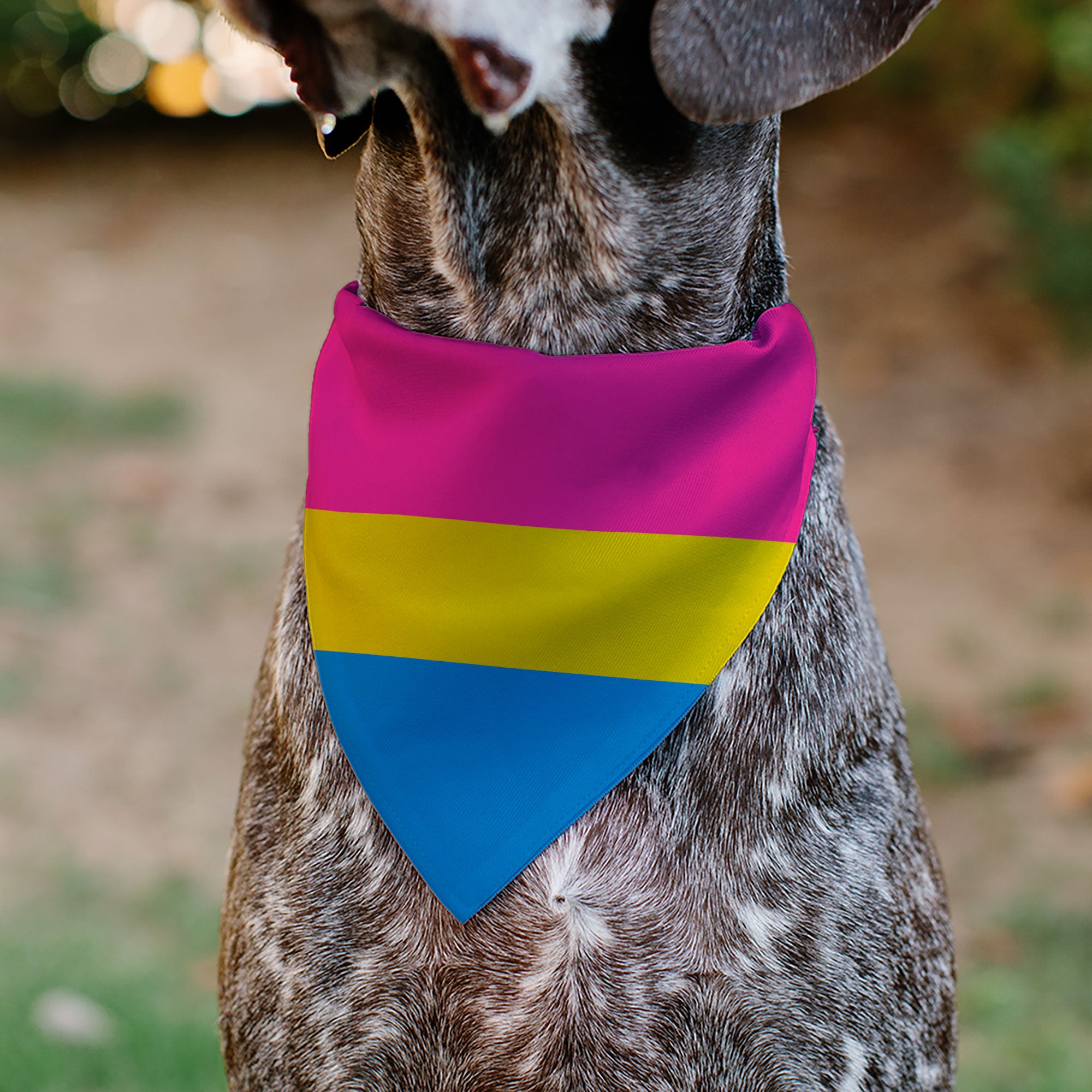 Pet Bandana - Flag Pansexual Pink/Yellow/Blue Pet Bandanas Buckle-Down