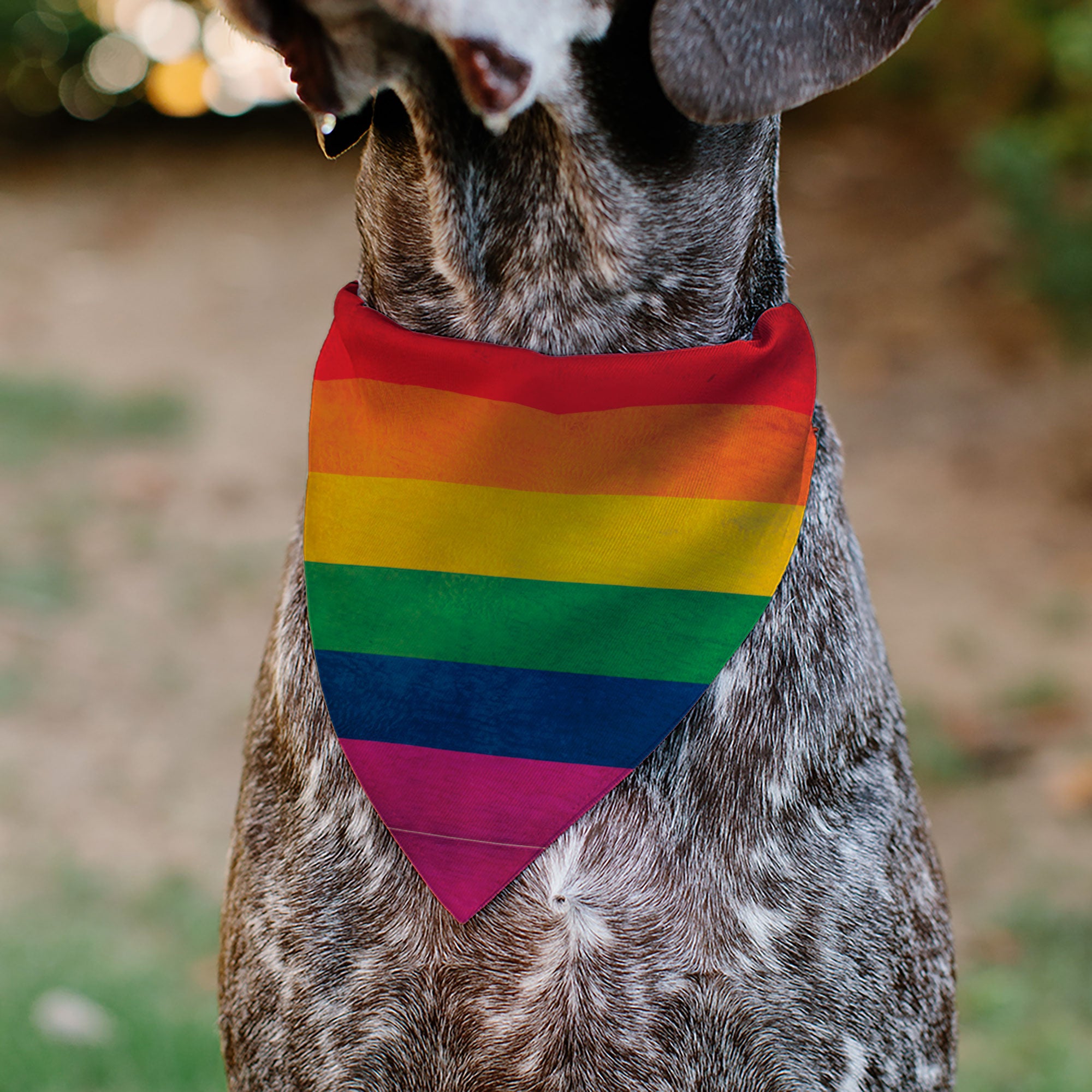 Pet Bandana - Flag Pride Distressed Rainbow Pet Bandanas Buckle-Down
