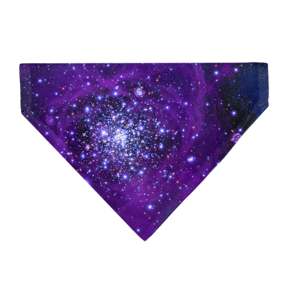 Pet Bandana - Galaxy Blues/Purples Pet Bandanas Buckle-Down