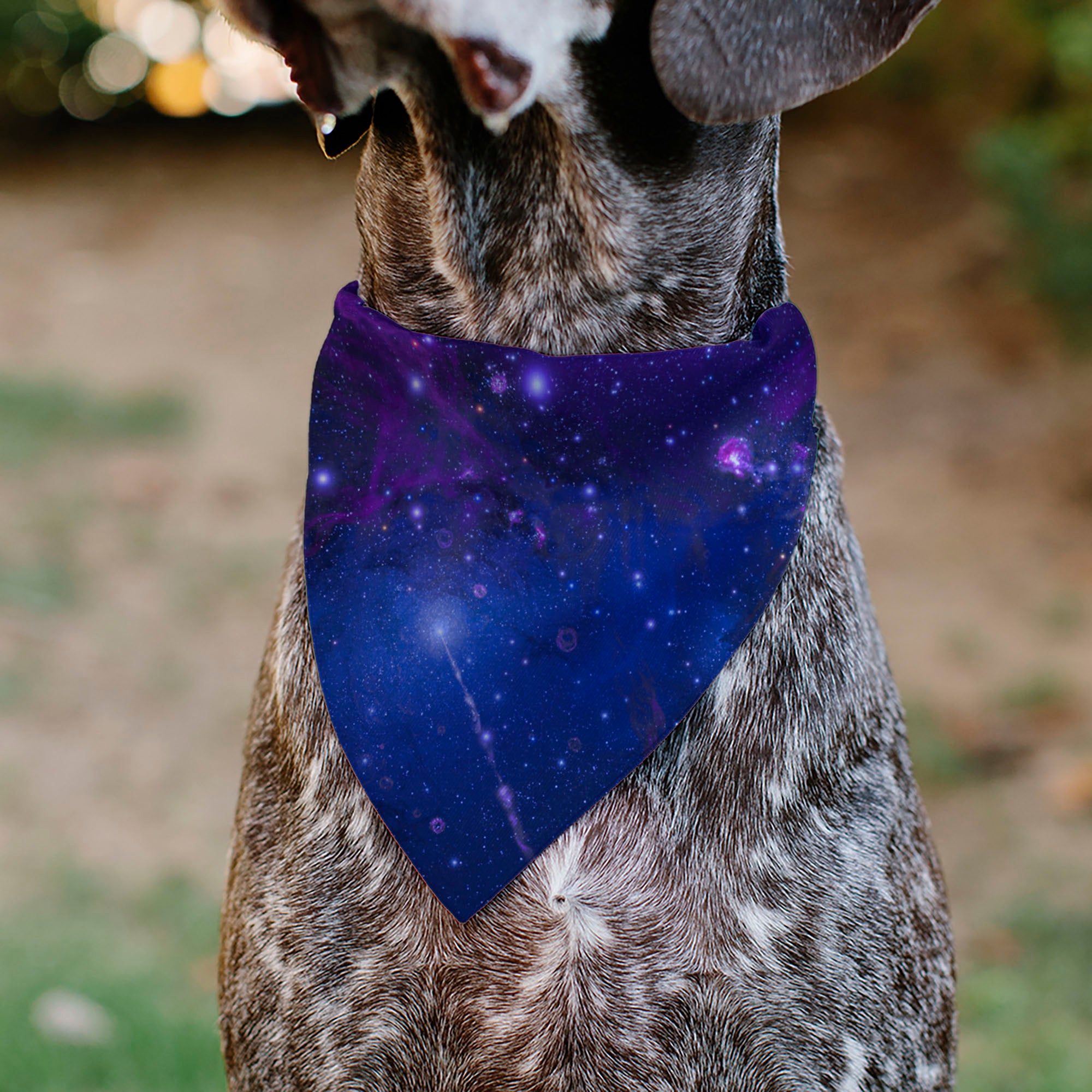 Pet Bandana - Galaxy Blues/Purples Pet Bandanas Buckle-Down