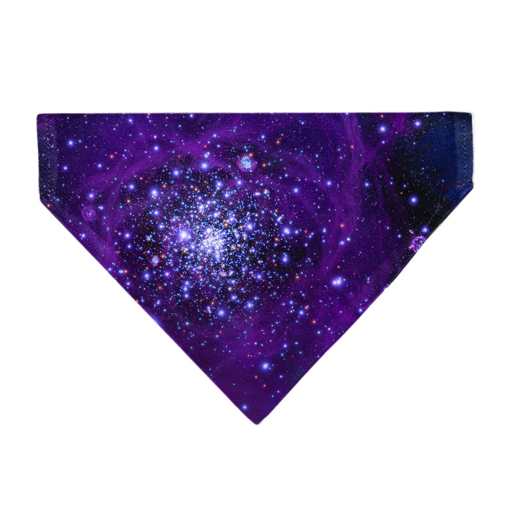 Pet Bandana - Galaxy Blues/Purples Pet Bandanas Buckle-Down