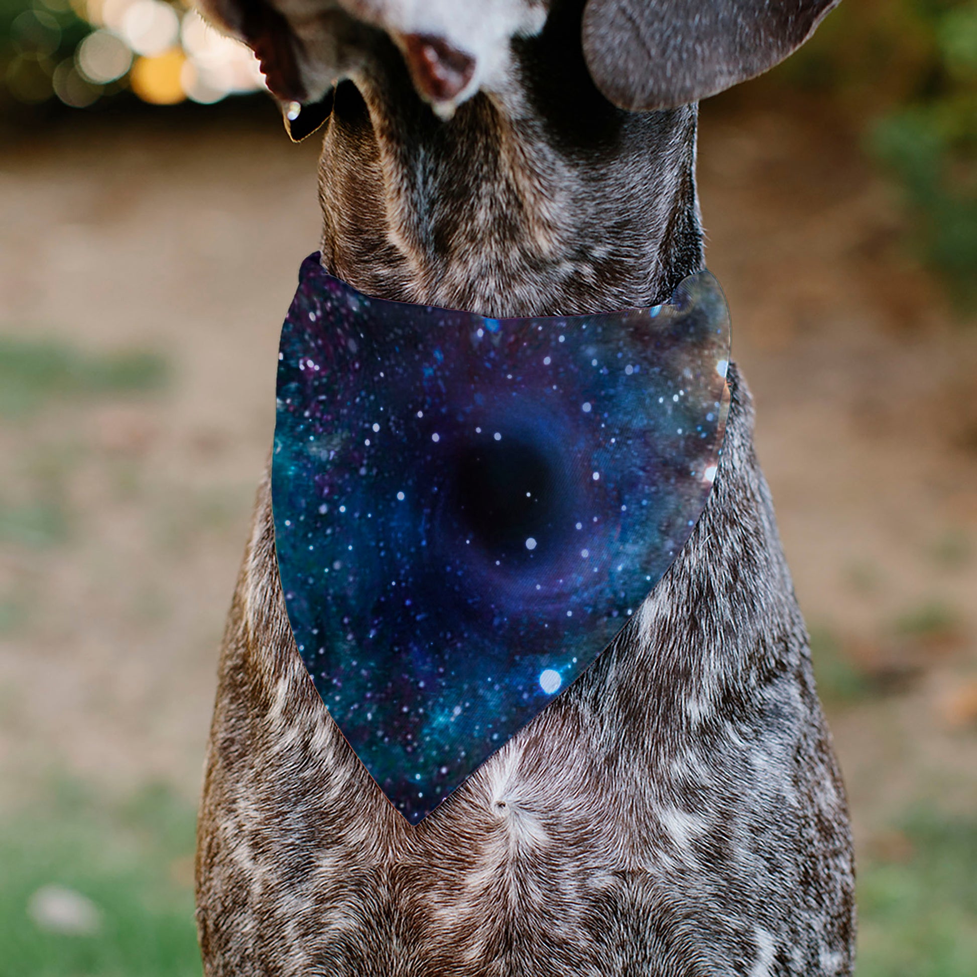 Pet Bandana - Galaxy Collage Pet Bandanas Buckle-Down