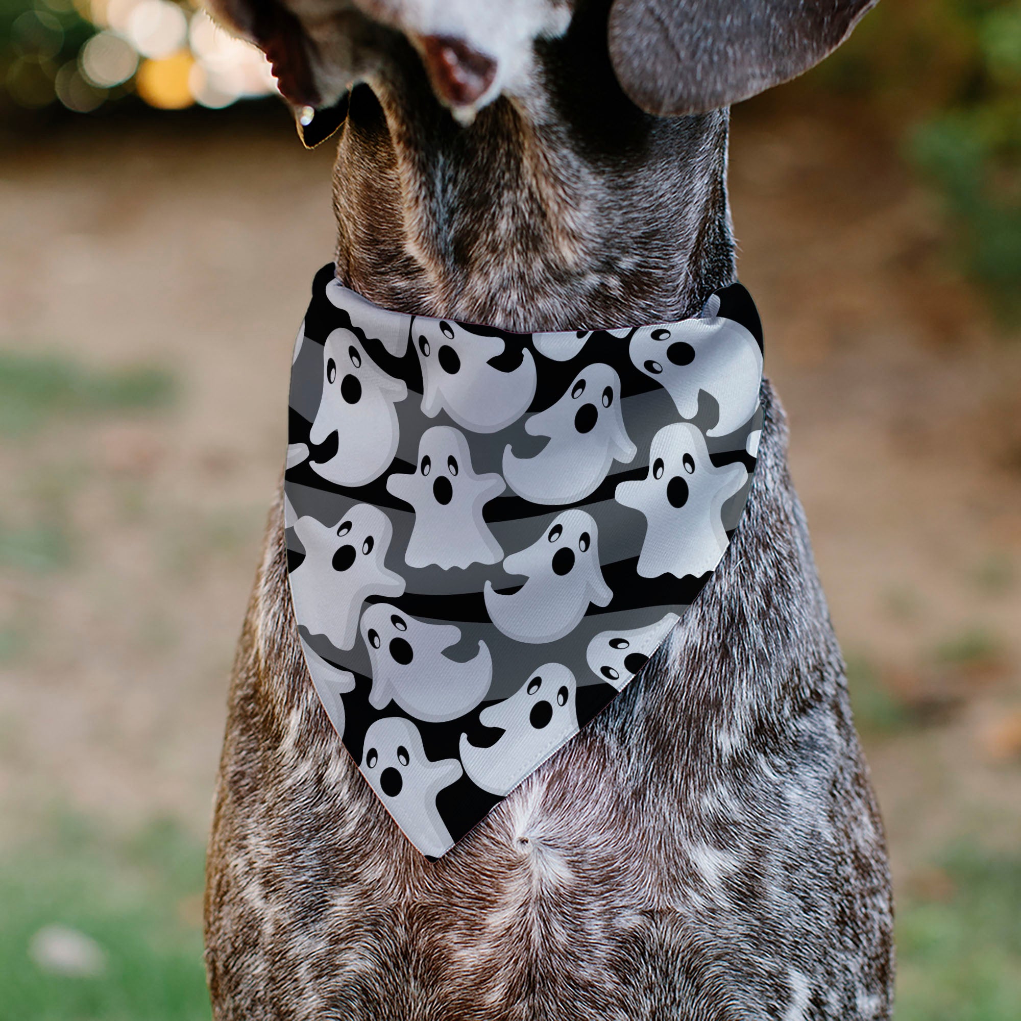 Pet Bandana - Ghosts Scattered Black/White Pet Bandanas Buckle-Down