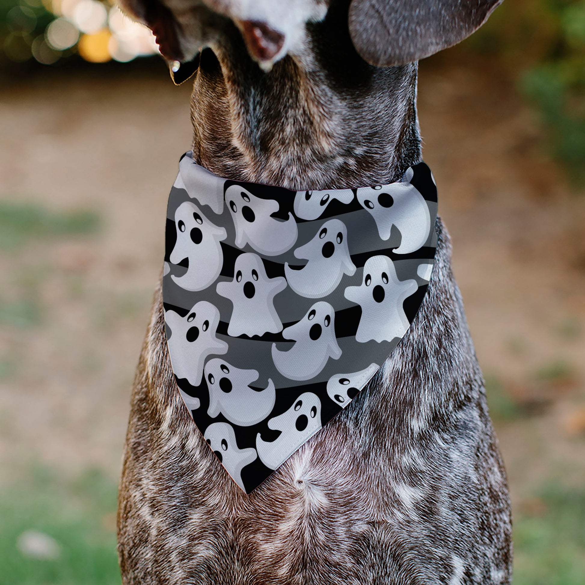 Pet Bandana - Ghosts Scattered Black/White Pet Bandanas Buckle-Down