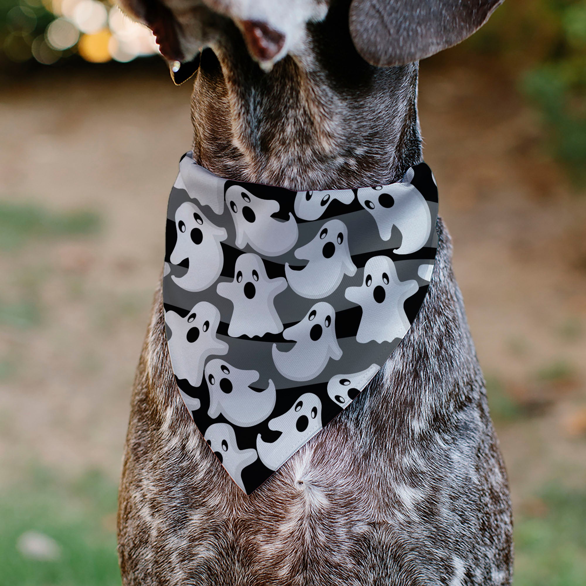 Pet Bandana - Ghosts Scattered Black/White Pet Bandanas Buckle-Down