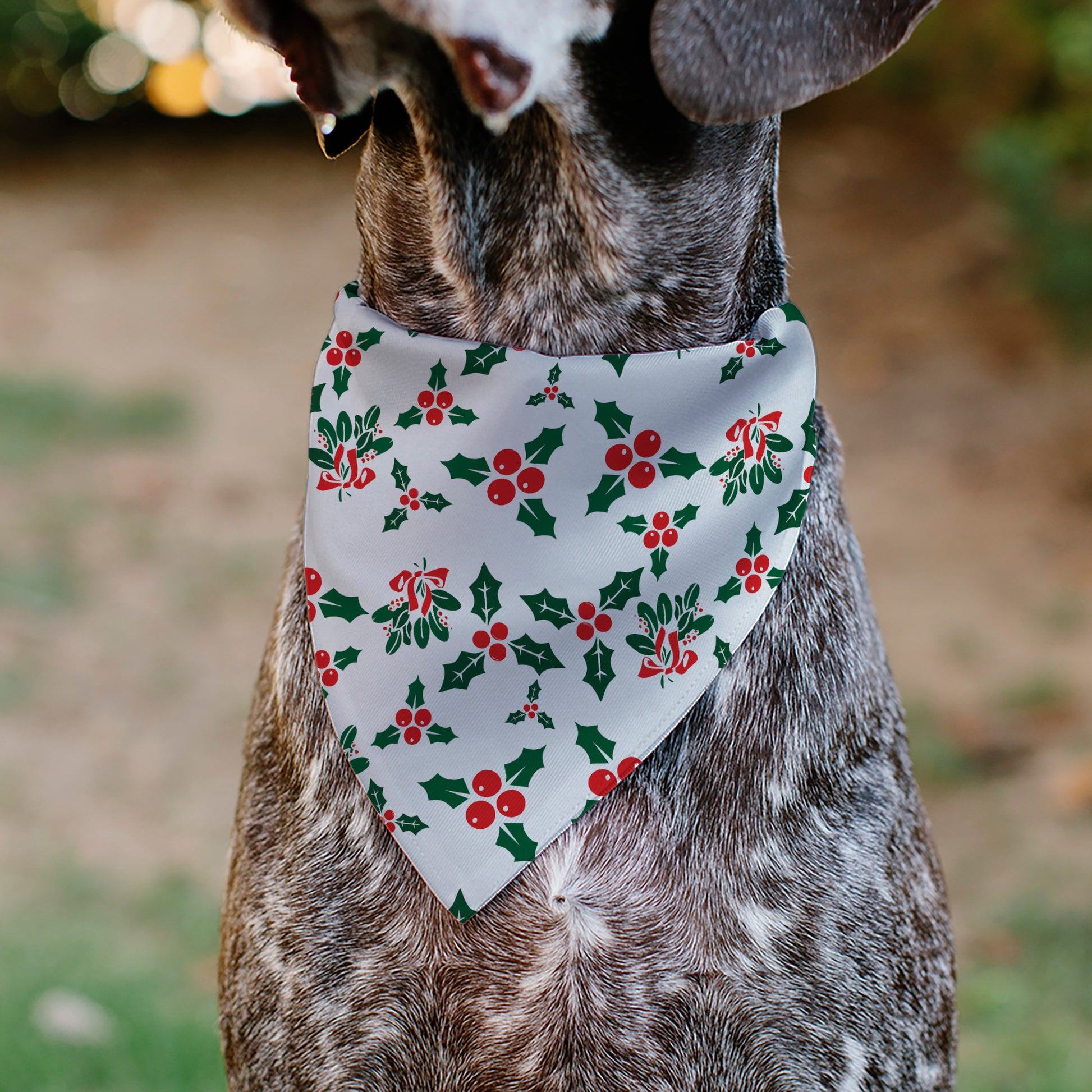Pet Bandana - Holly & Mistletoe Pet Bandanas Buckle-Down