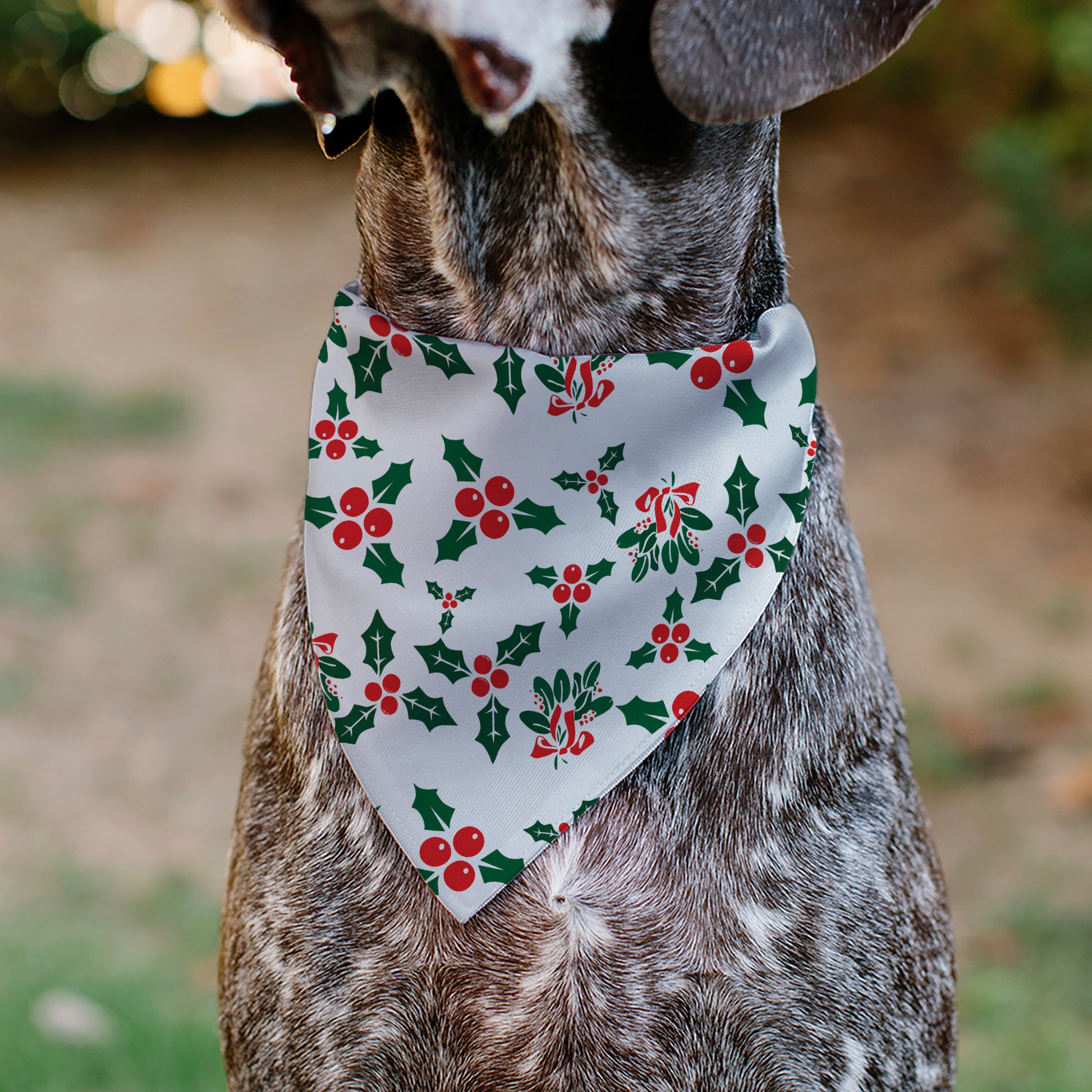 Pet Bandana - Holly & Mistletoe Pet Bandanas Buckle-Down