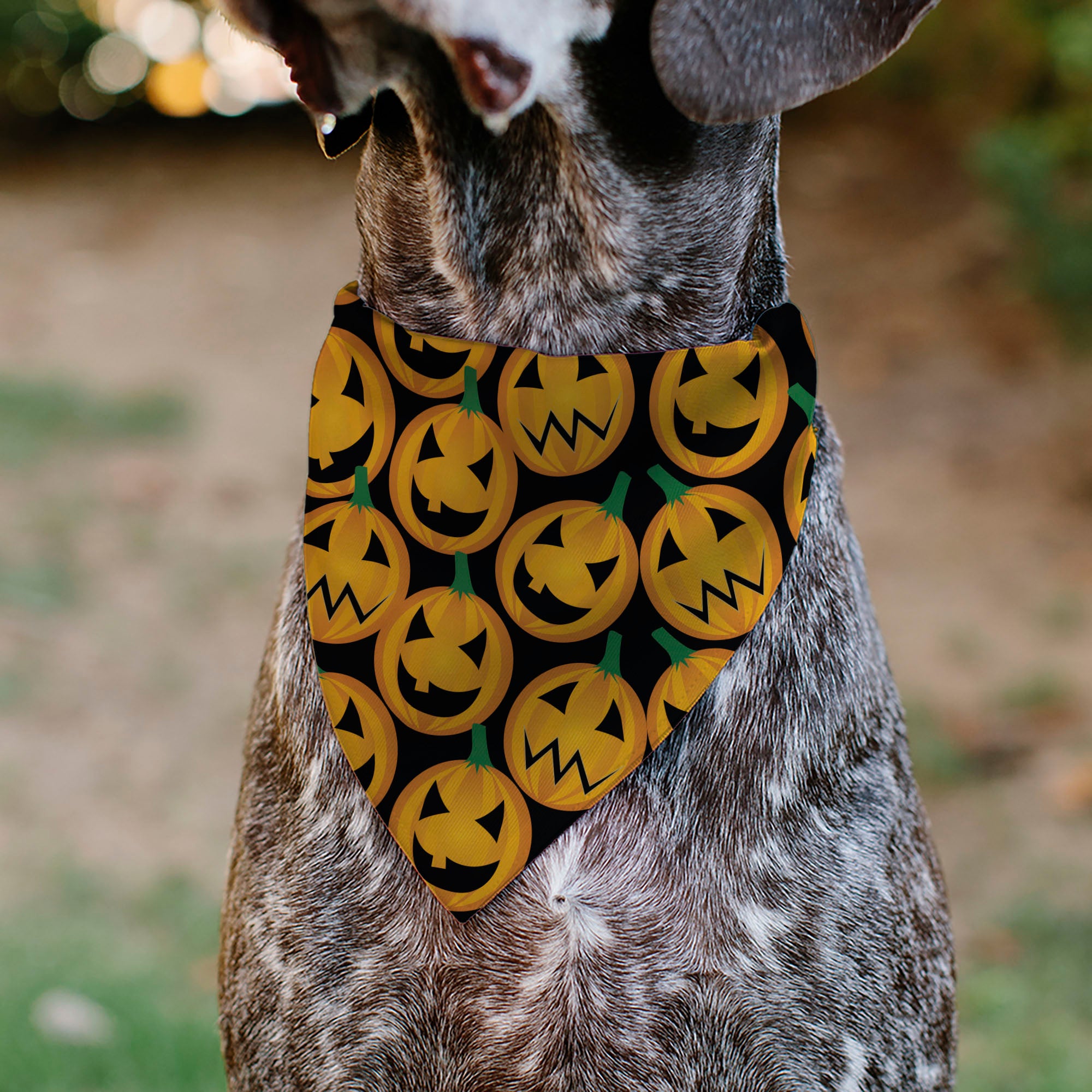 Pet Bandana - Jack-o'-Lantern Collage Black Pet Bandanas Buckle-Down