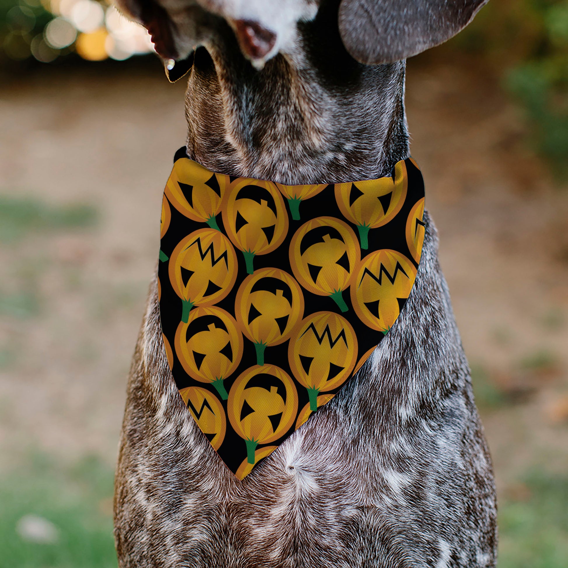 Pet Bandana - Jack-o'-Lantern Collage Black Pet Bandanas Buckle-Down