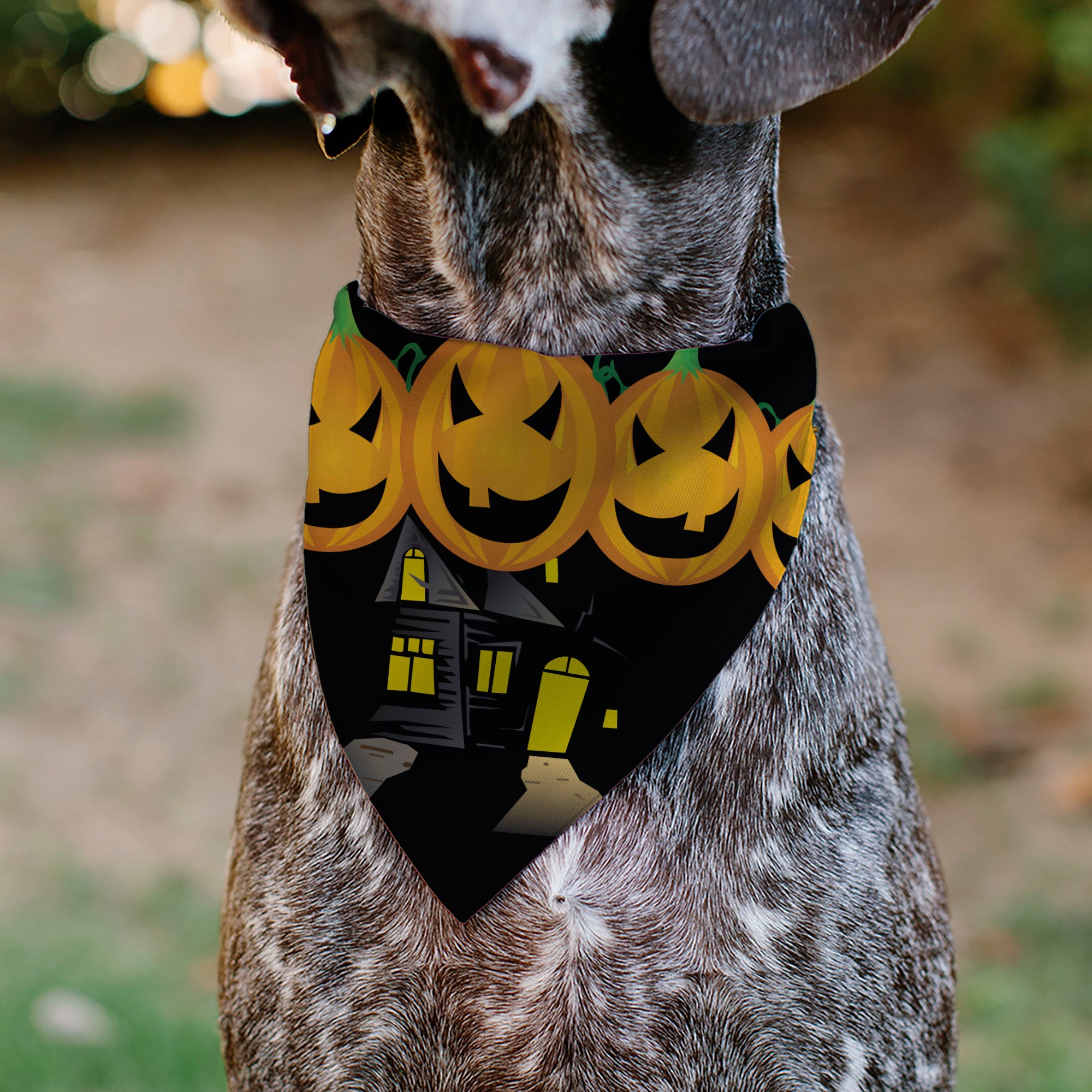 Pet Bandana - Jack-o'-Lanterns/Haunted House Black/Yellow Pet Bandanas Buckle-Down