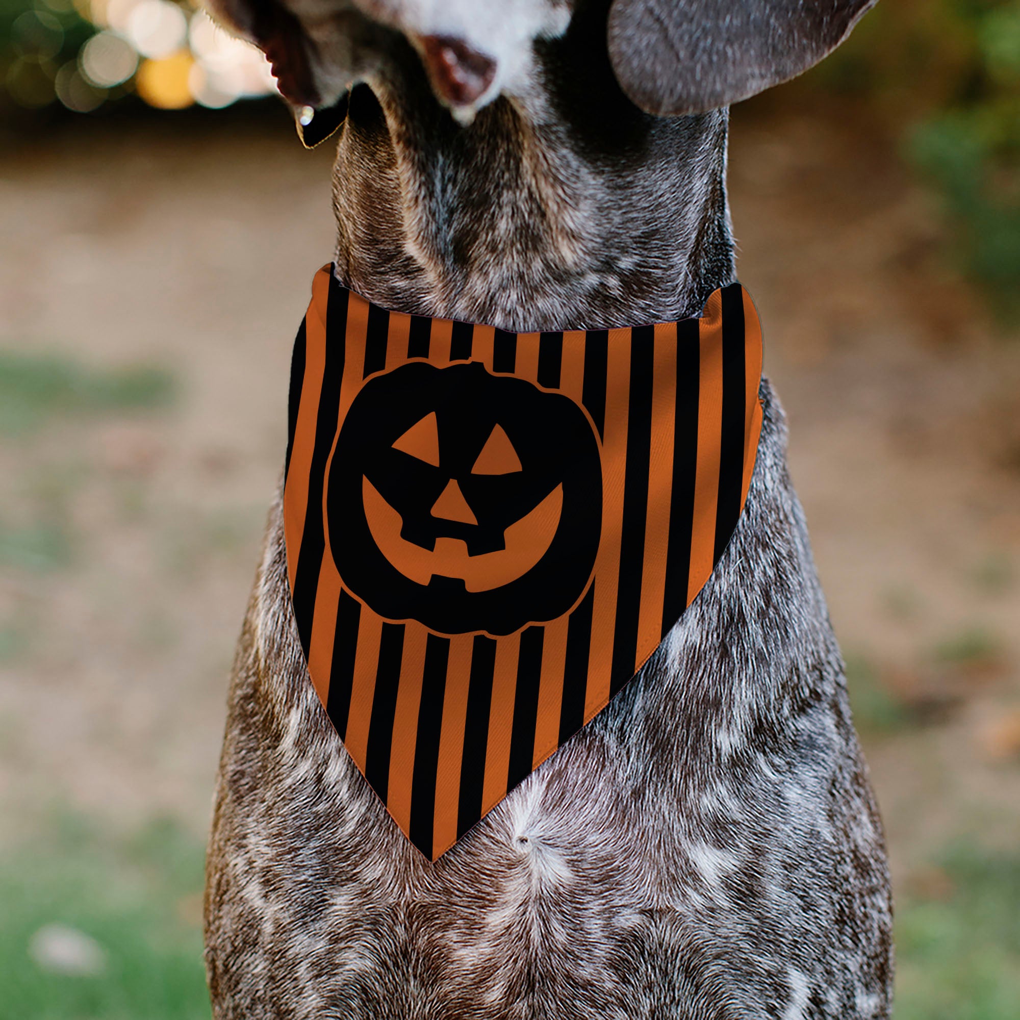 Pet Bandana - Jack-o'-Lantern Pumpkin Stripe Orange/Black Pet Bandanas Buckle-Down