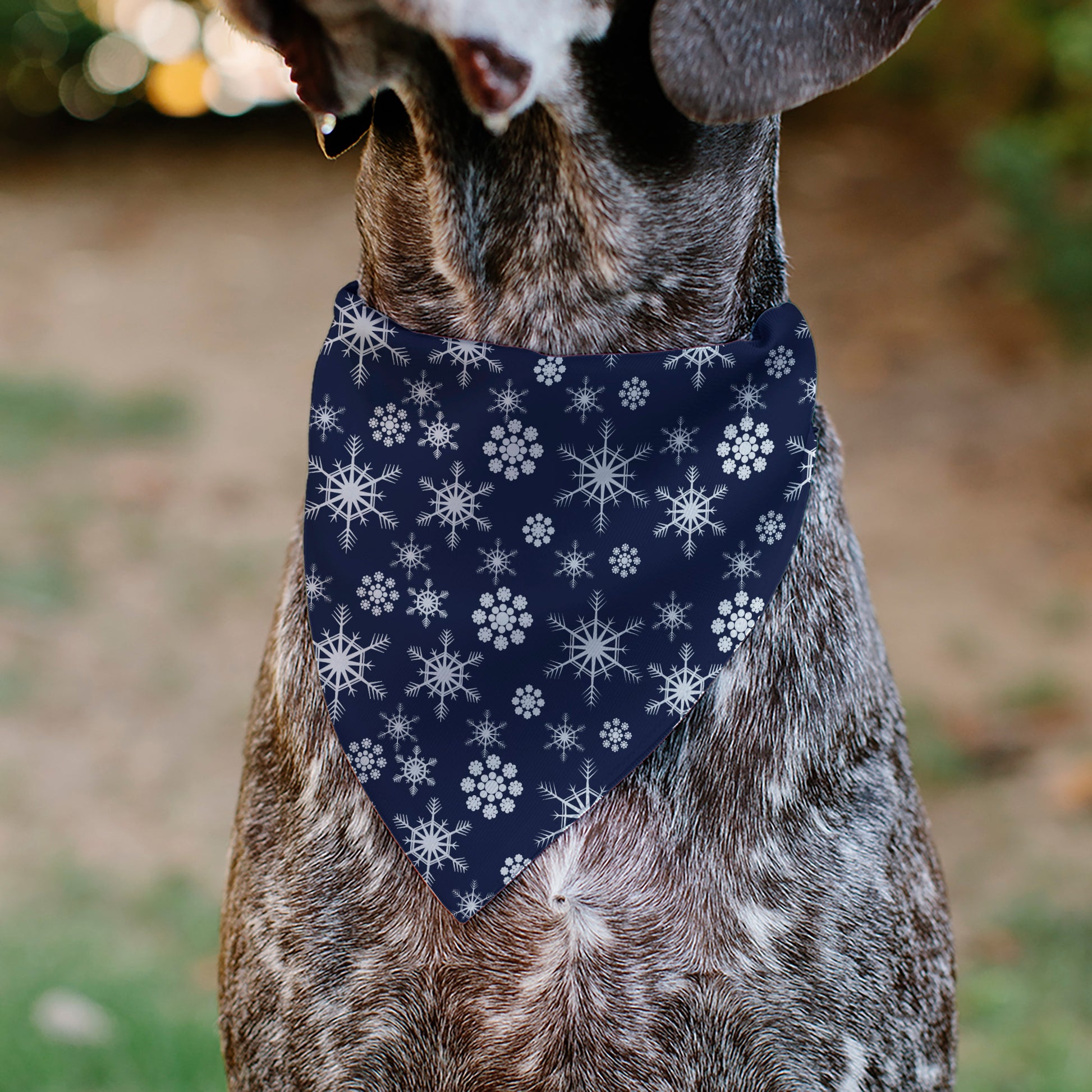 Pet Bandana - Snowflakes Blue/White Pet Bandanas Buckle-Down