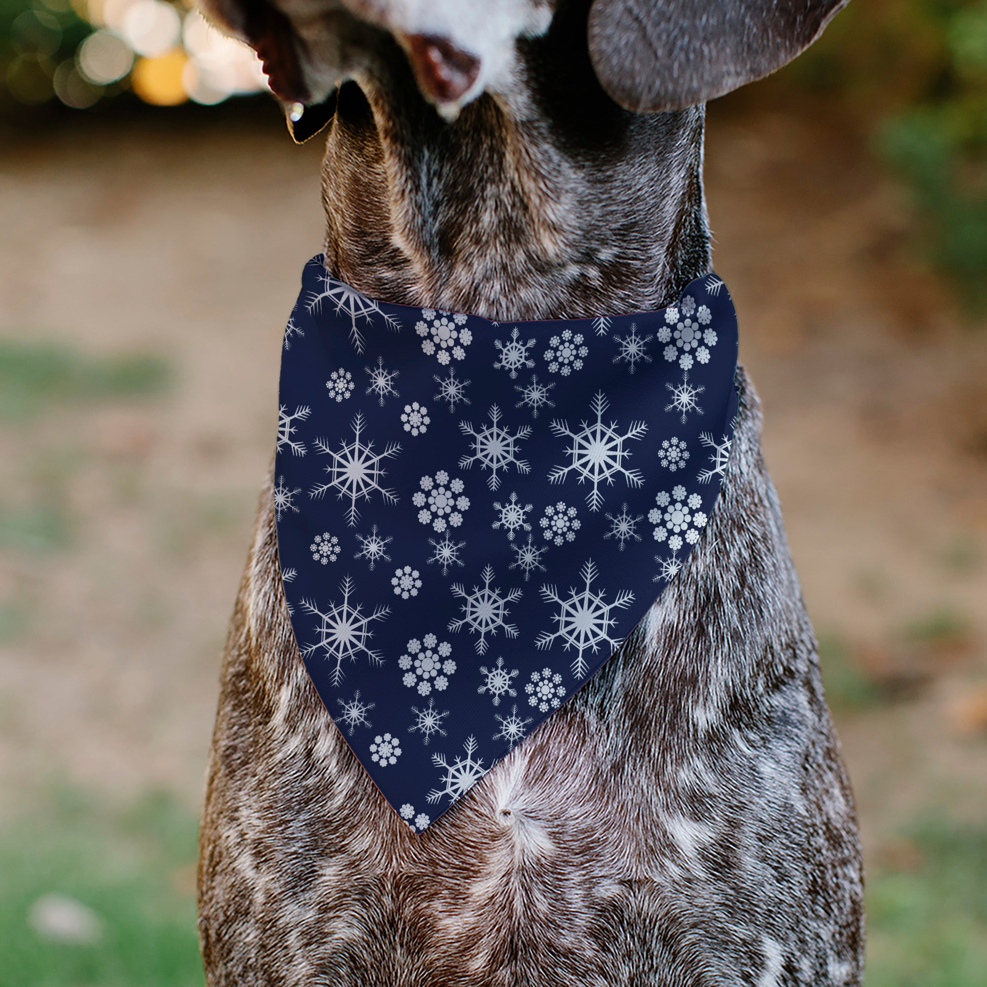 Pet Bandana - Snowflakes Blue/White Pet Bandanas Buckle-Down