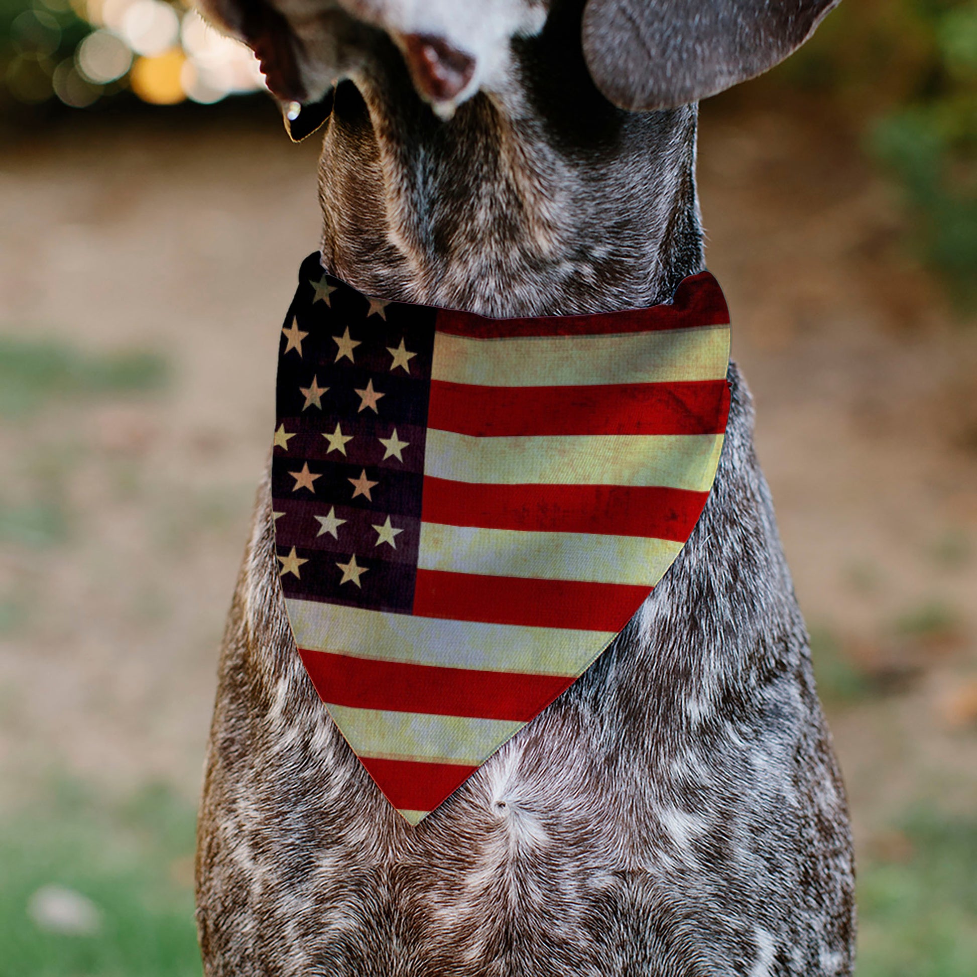 Pet Bandana - Vintage US Flag Repeat Pet Bandanas Buckle-Down