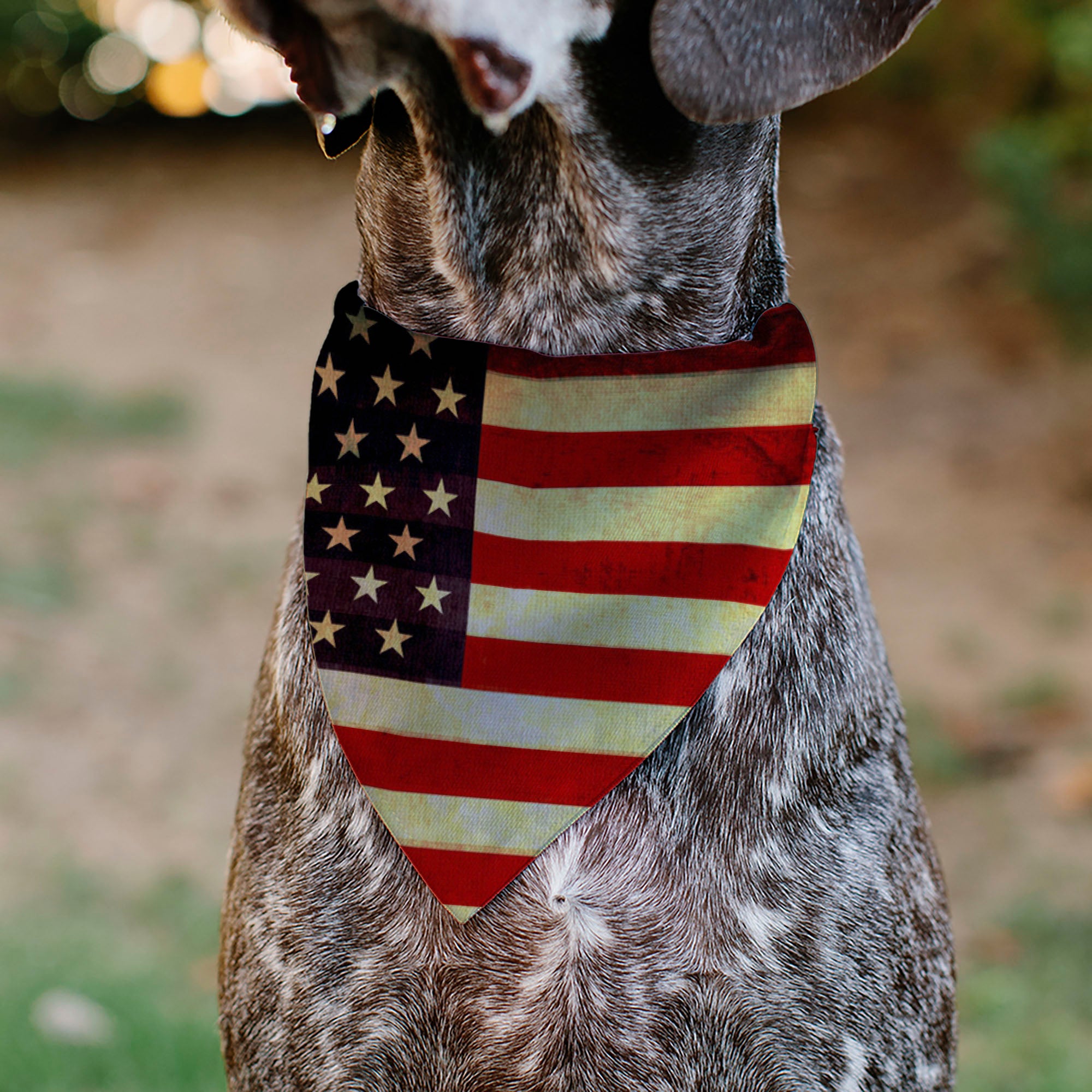 Pet Bandana - Vintage US Flag Repeat Pet Bandanas Buckle-Down