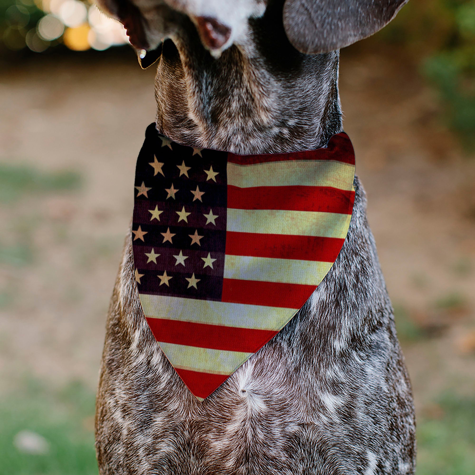 Pet Bandana - Vintage US Flag Repeat Pet Bandanas Buckle-Down