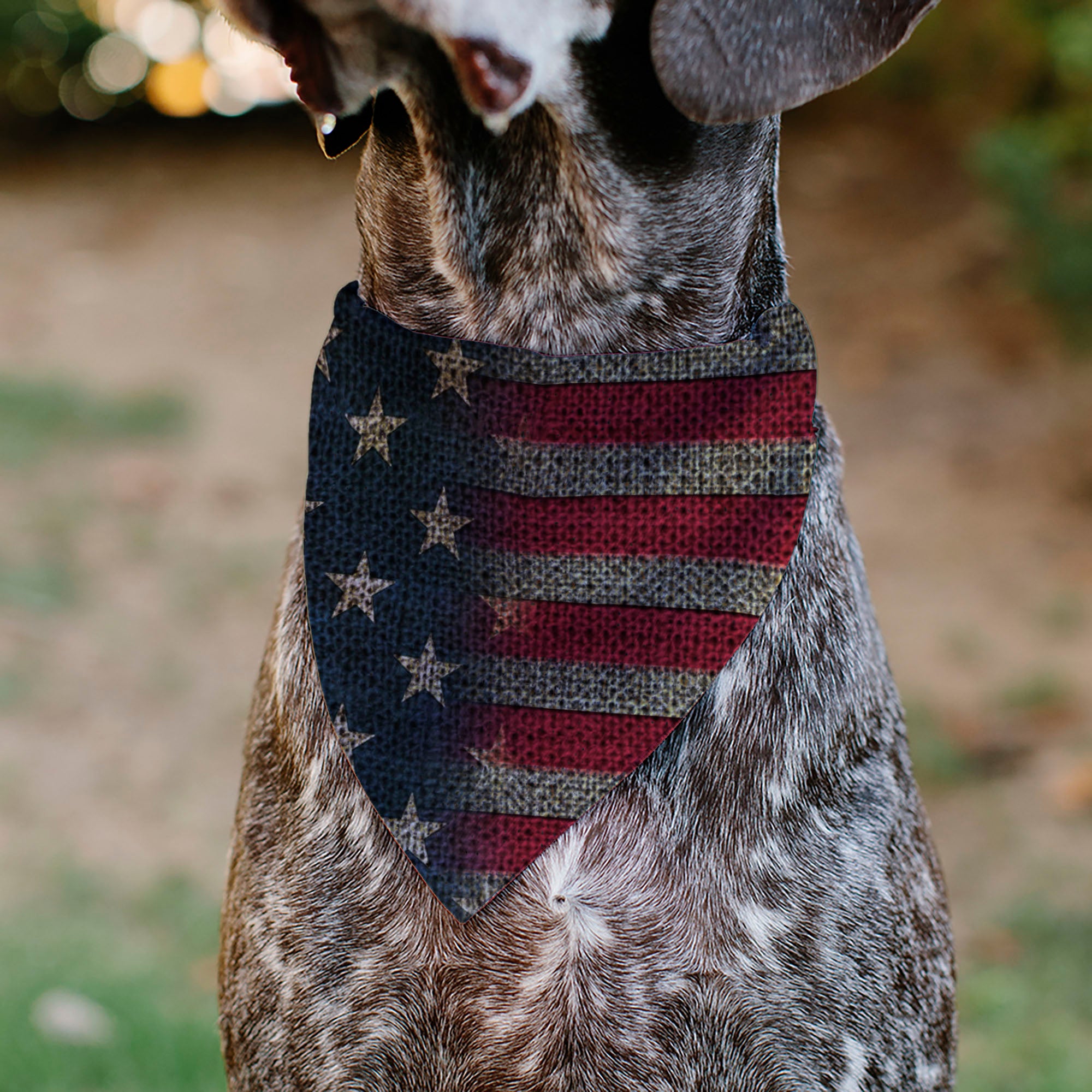 Pet Bandana - Vintage US Flag Stretch Pet Bandanas Buckle-Down