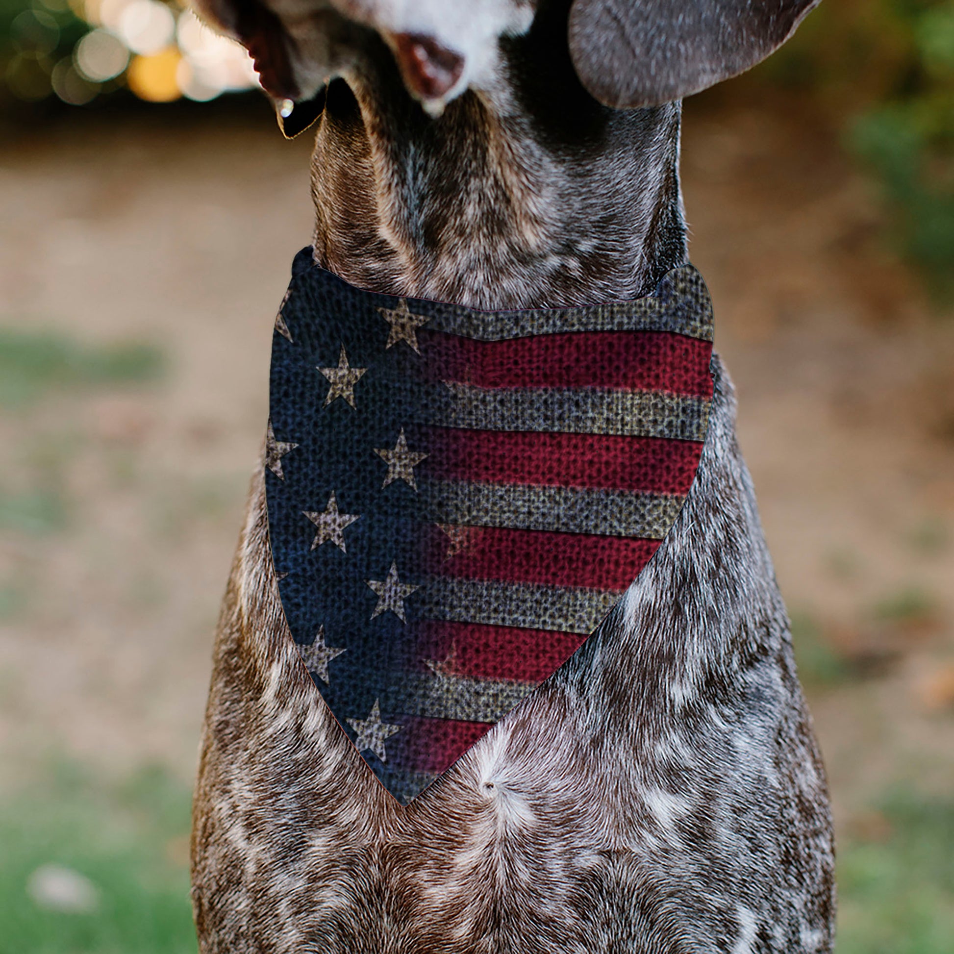 Pet Bandana - Vintage US Flag Stretch Pet Bandanas Buckle-Down