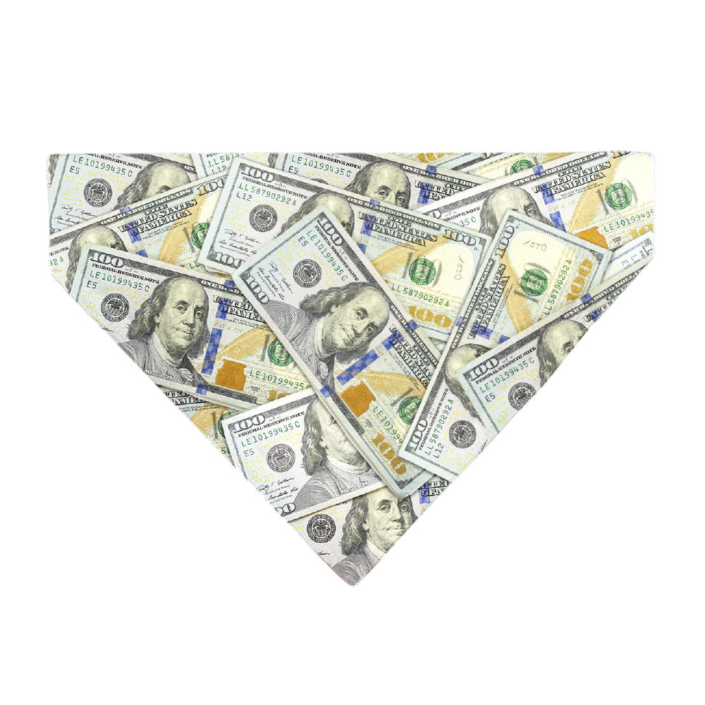 Pet Bandana - Vivid 100 Dollar Bills Stacked Pet Bandanas Buckle-Down