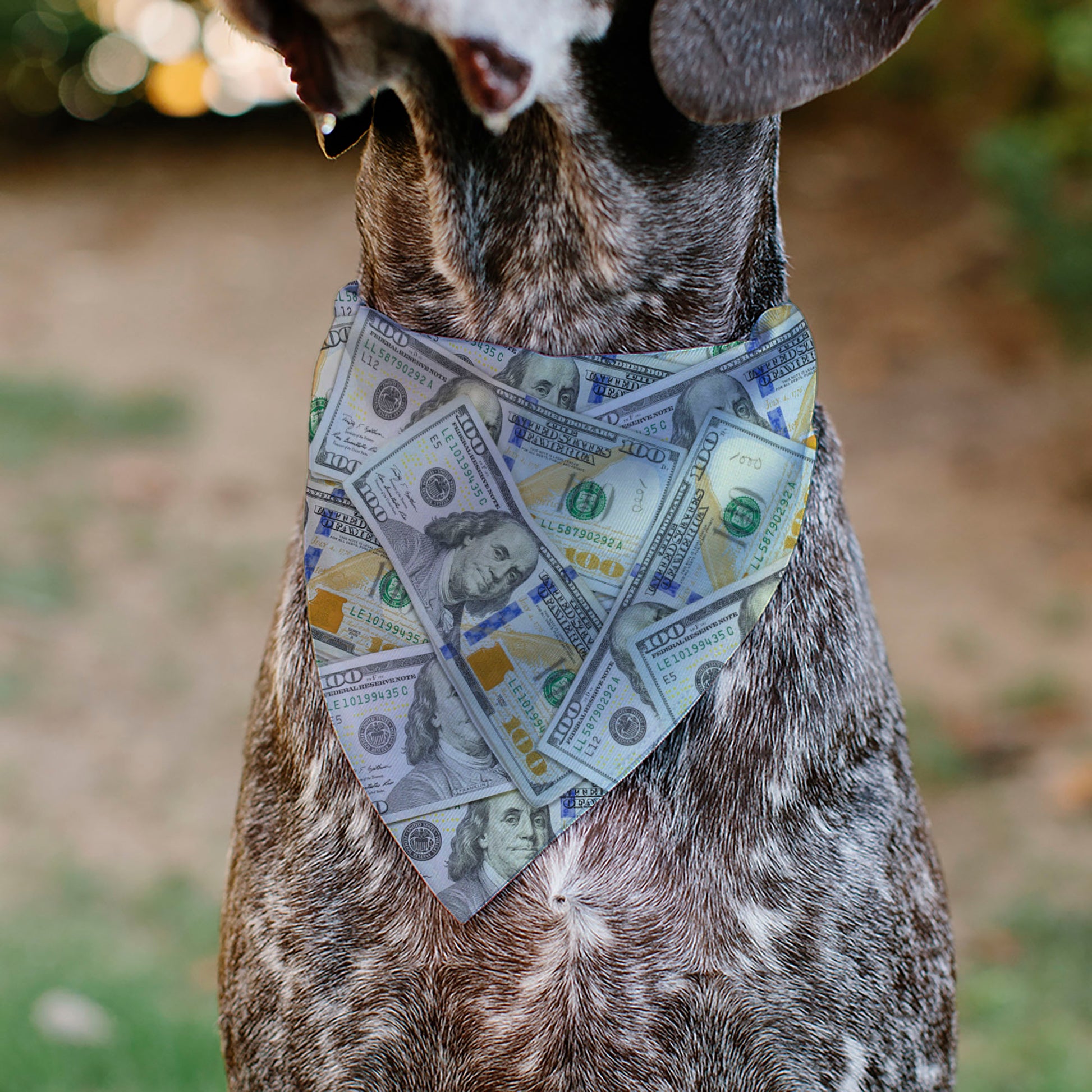 Pet Bandana - Vivid 100 Dollar Bills Stacked Pet Bandanas Buckle-Down
