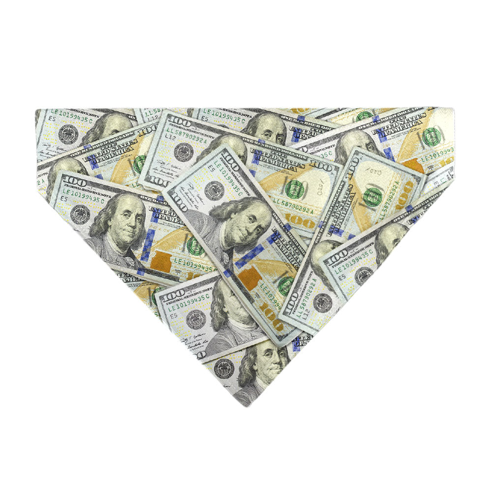 Pet Bandana - Vivid 100 Dollar Bills Stacked Pet Bandanas Buckle-Down