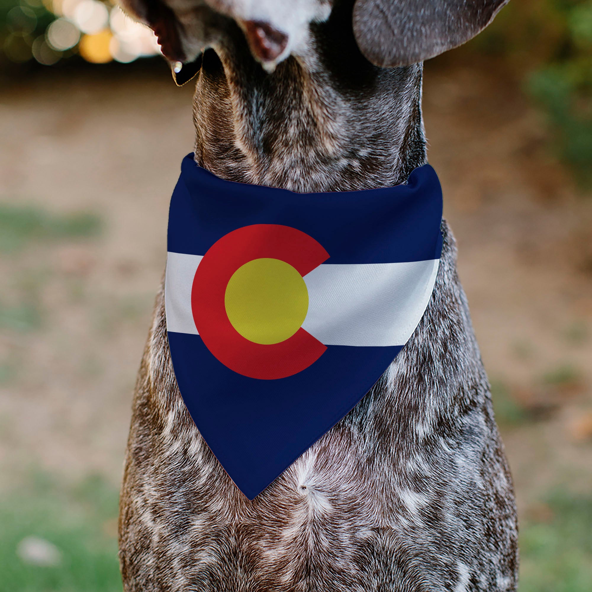 Pet Bandana - Colorado Flag Pet Bandanas Buckle-Down